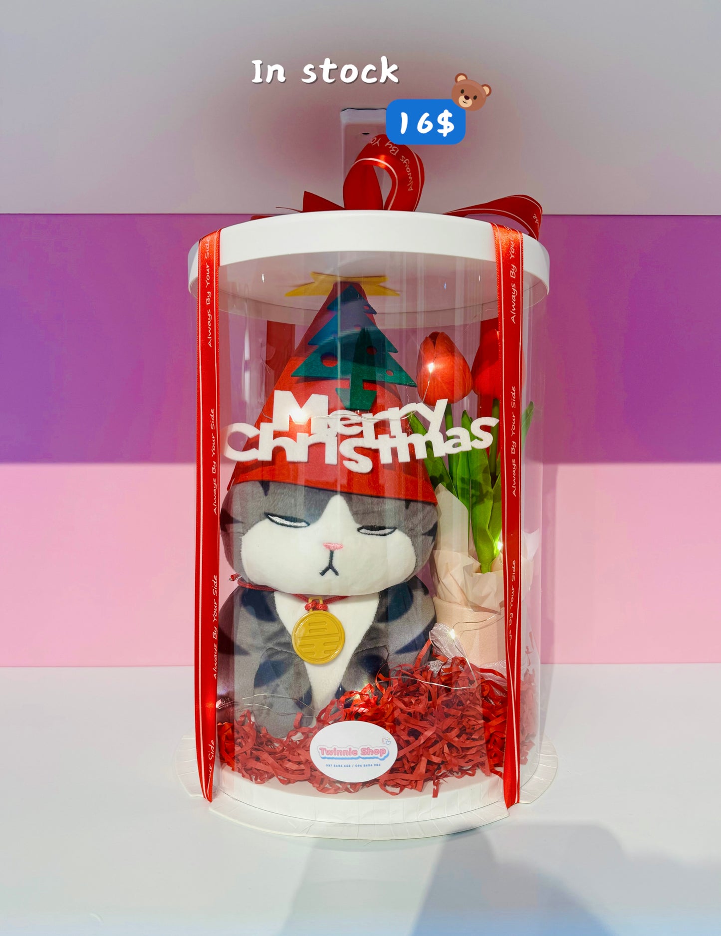 Xmas | Cat tulip Christmas set