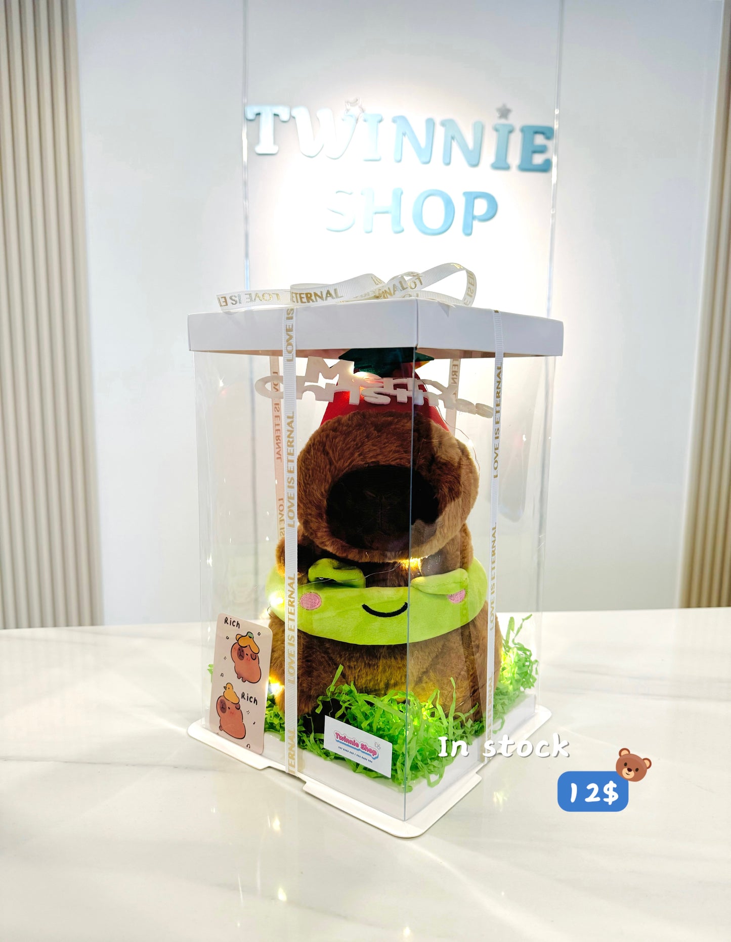 Xmas | Capybara gift set