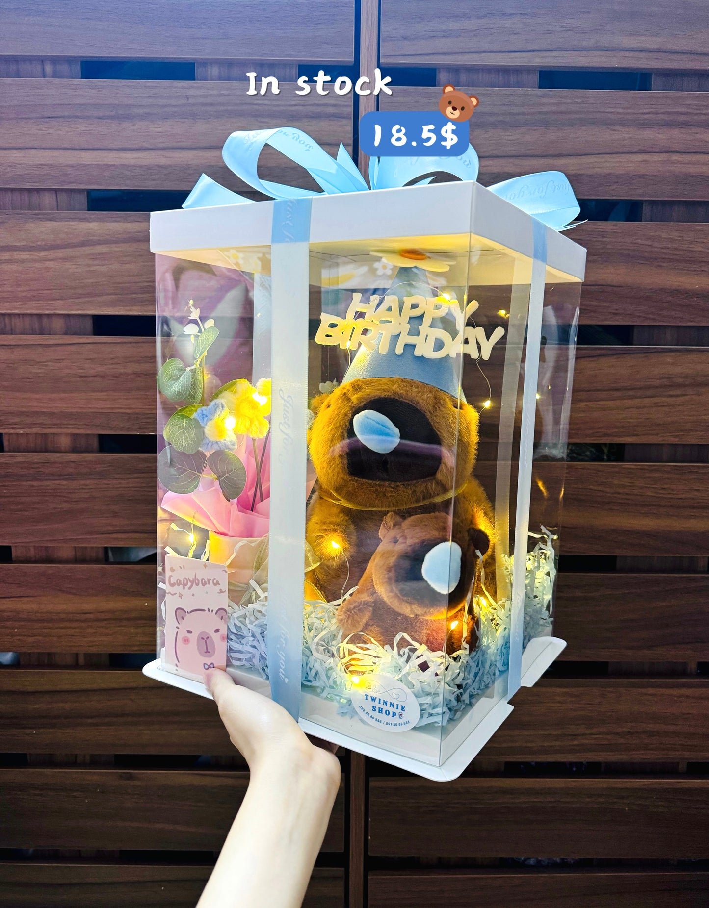 BD18 | Capybara birthday mix set