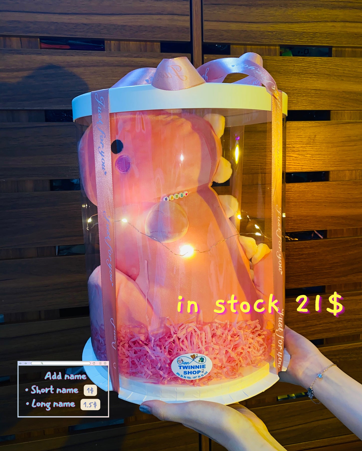 BB | Dinosaur big gift set