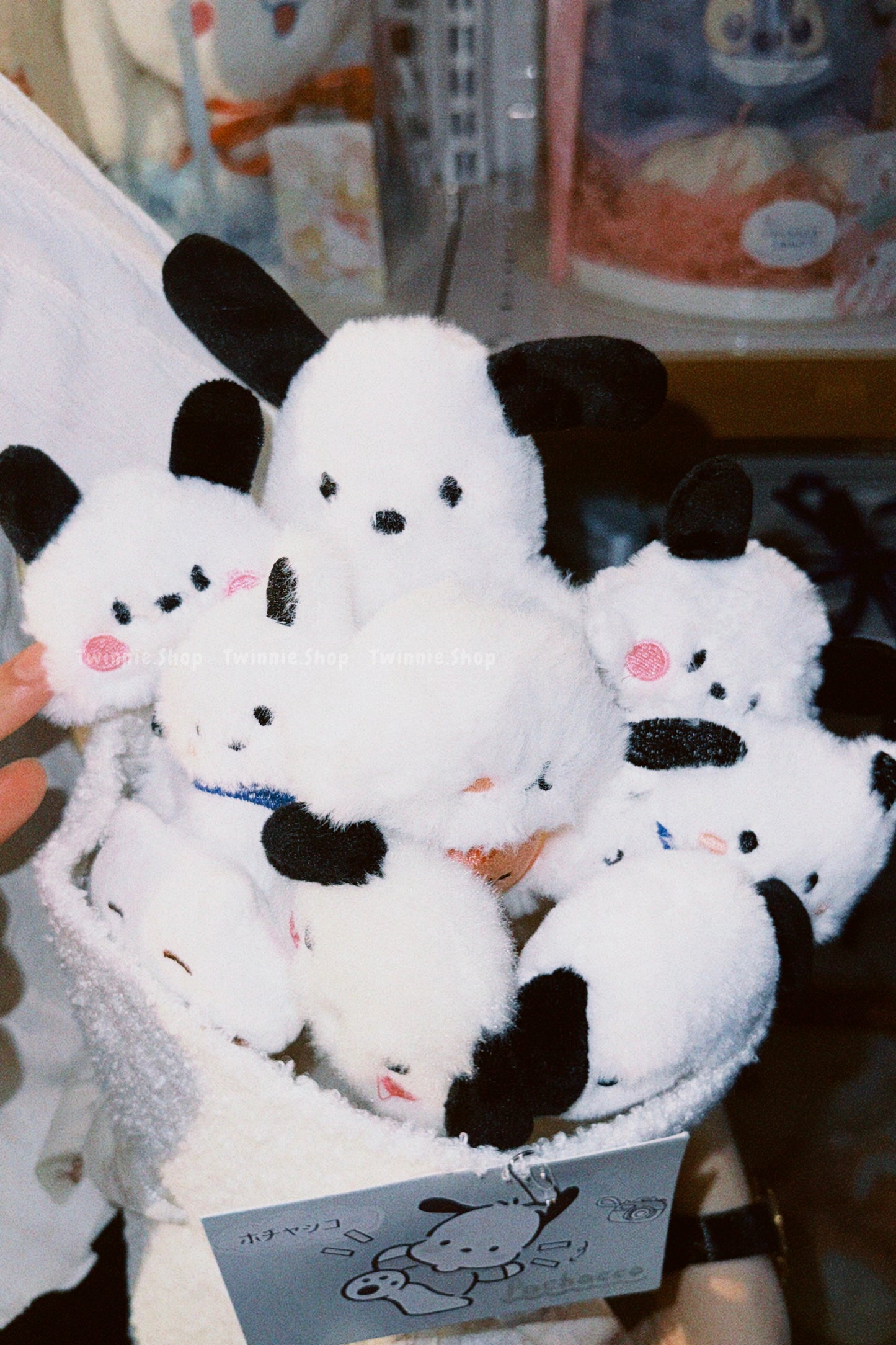 FW | Pochacco flower bunch