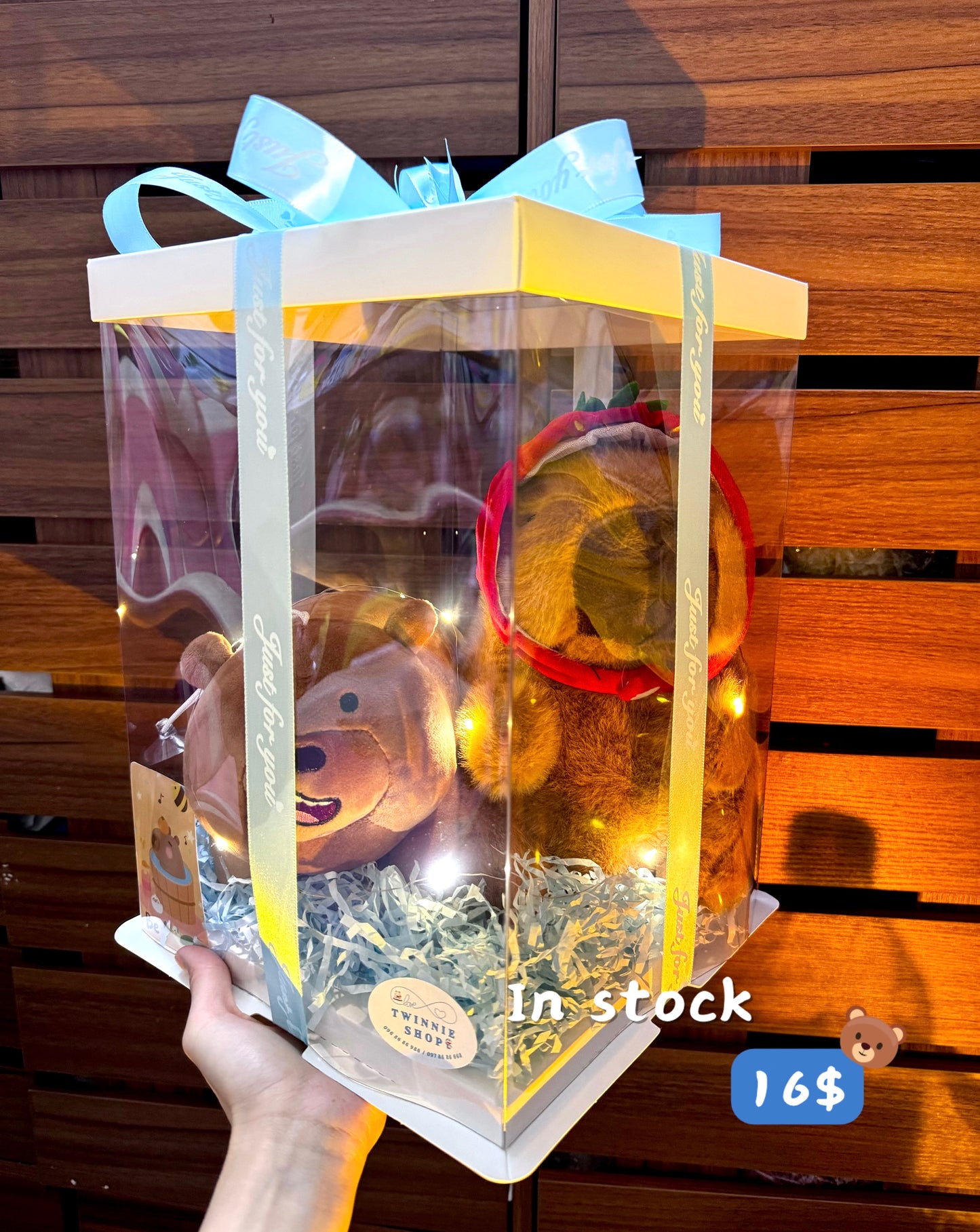CPB | Capybara couple set