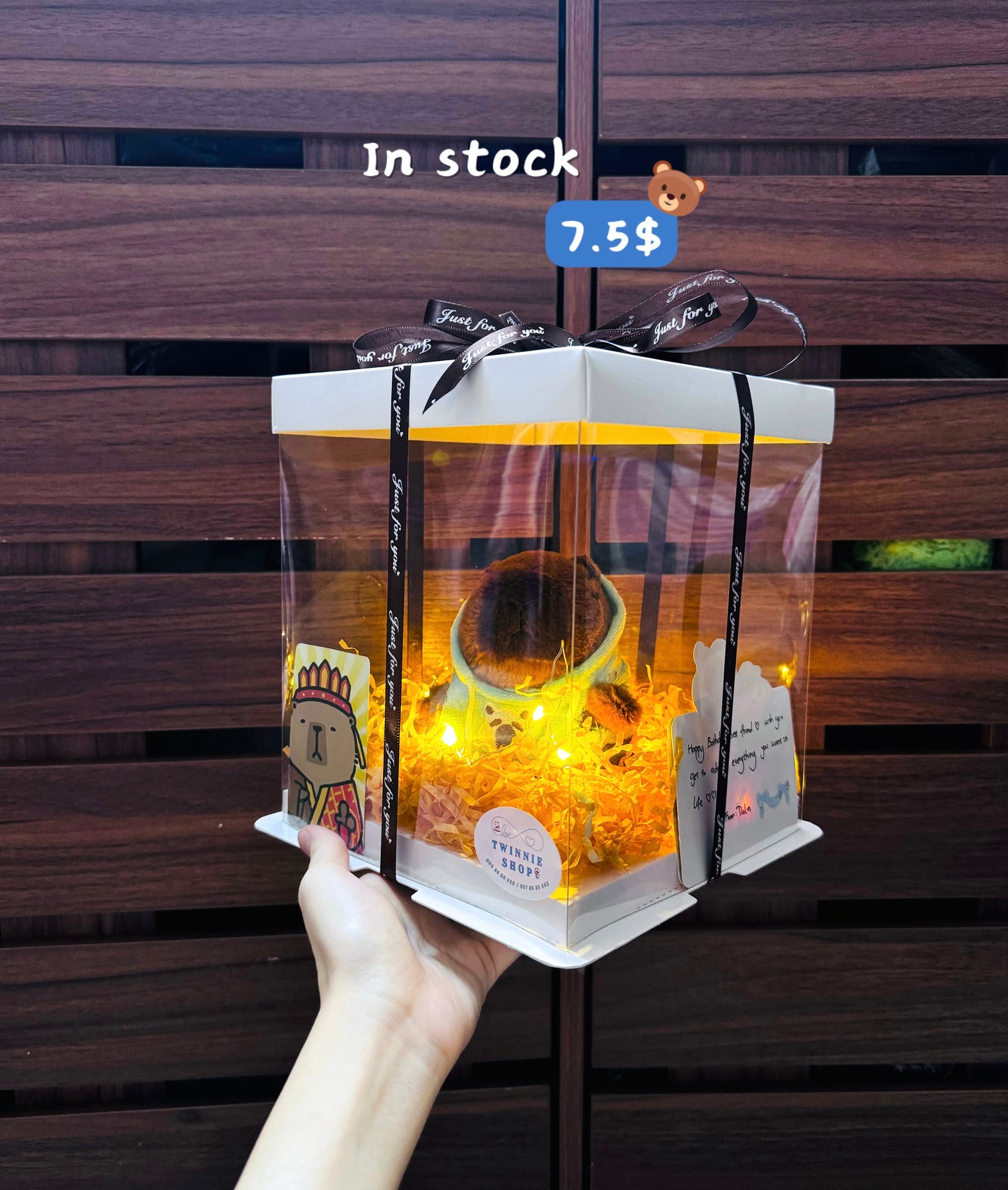 KCB | Capybara keychain mini box