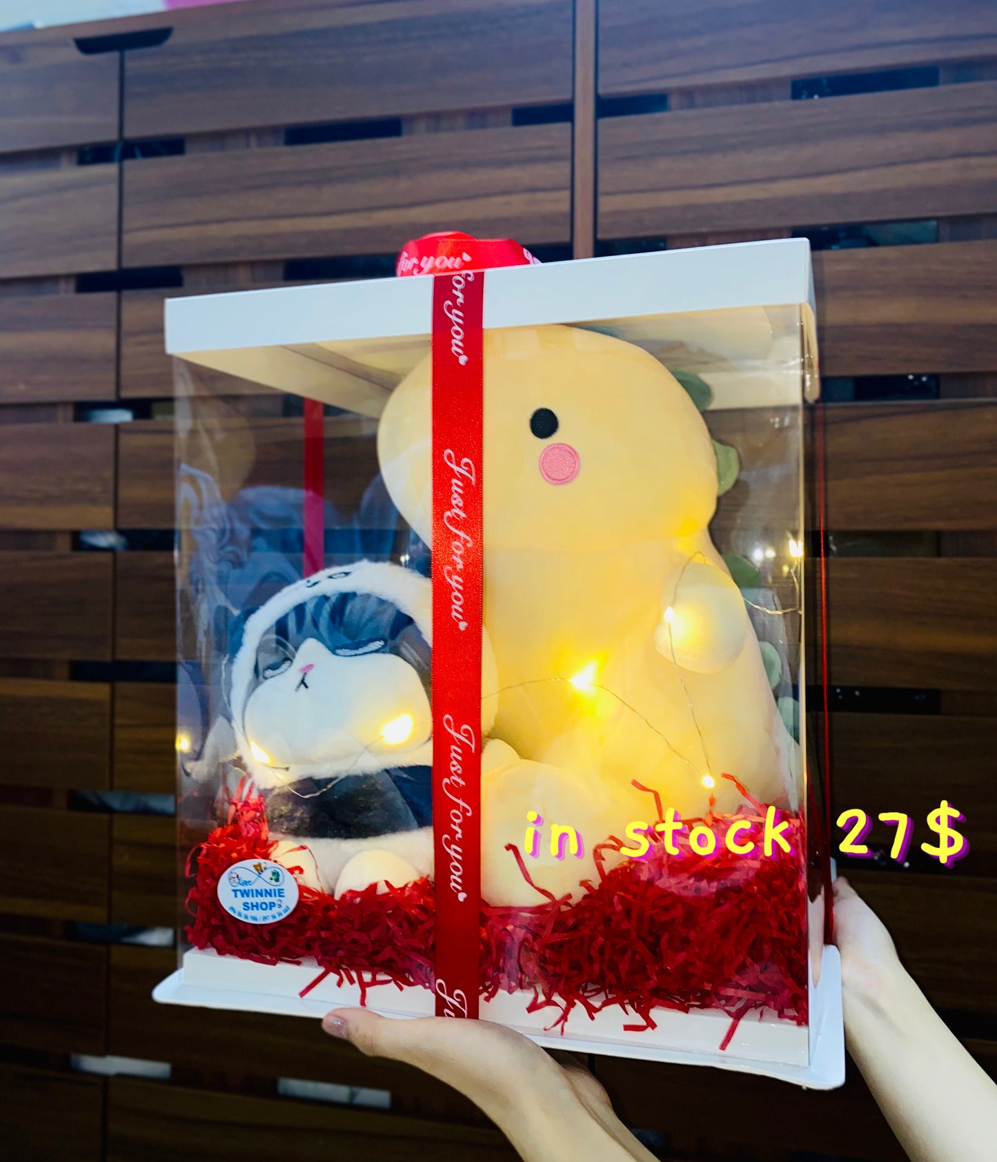 BB | Dinosaur big gift set