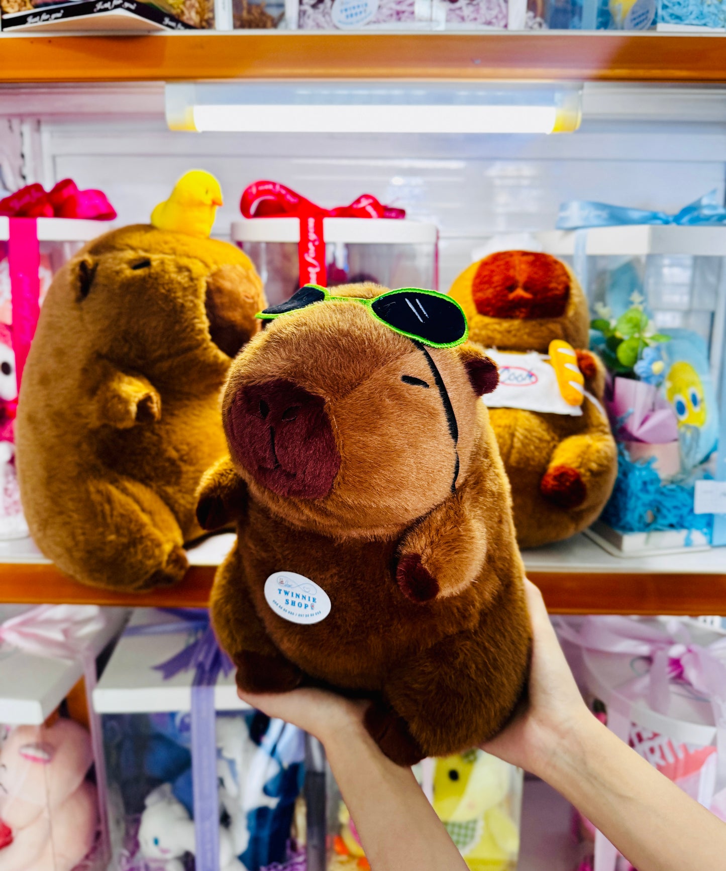 BT | Capybara 30cm