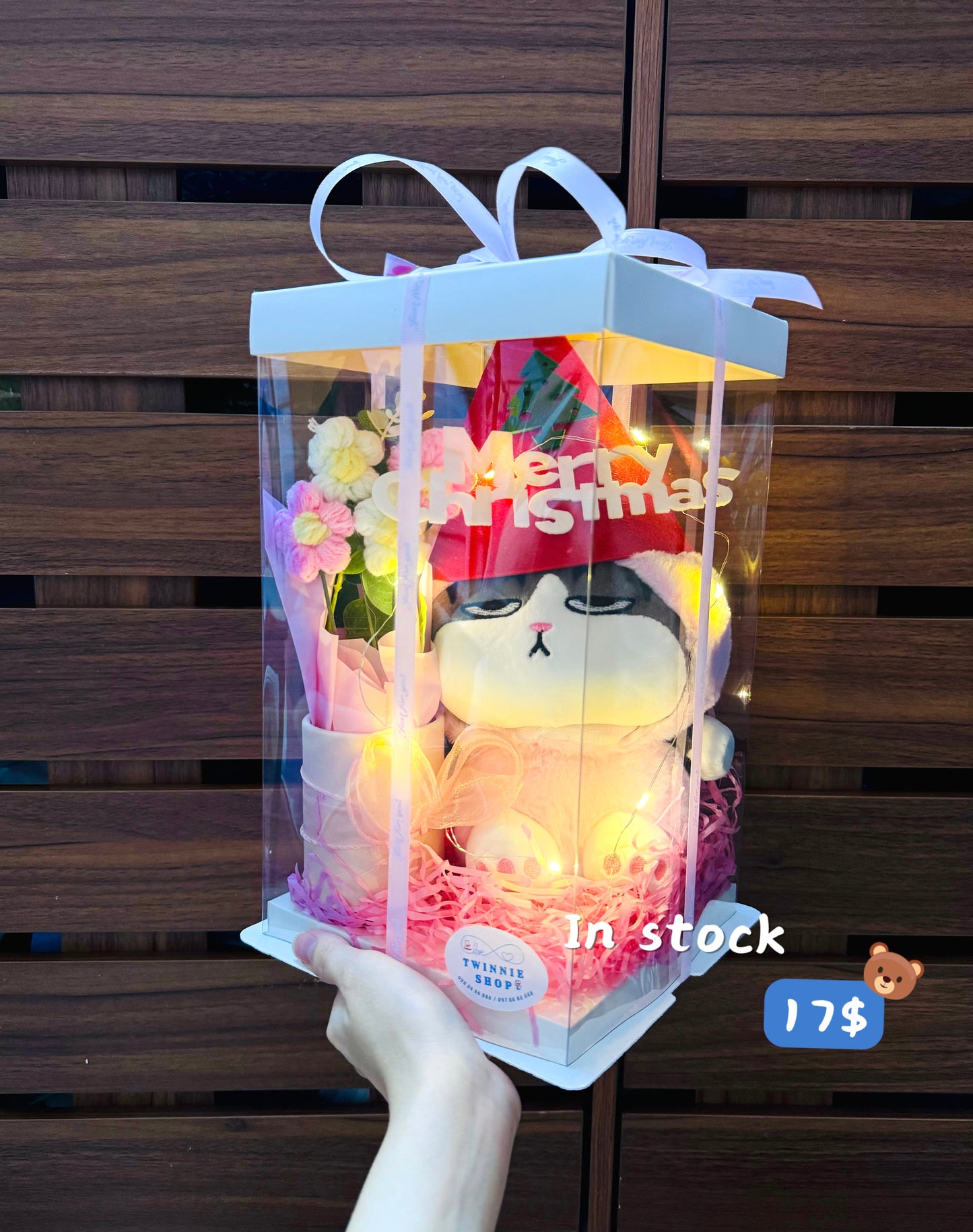 Xmas | Colorful cat gift box