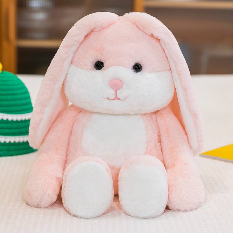 BT | Cute teddy