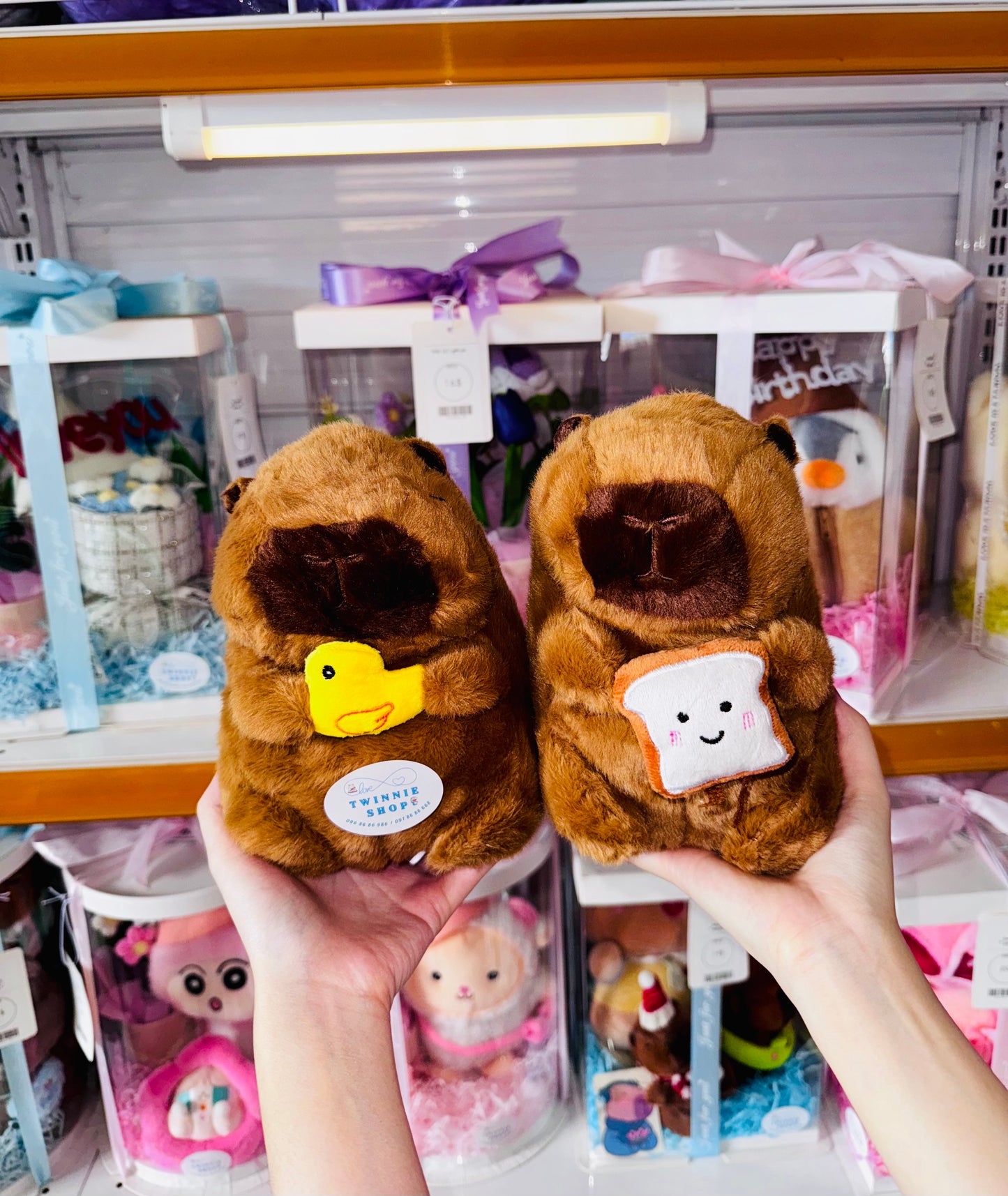 SD | Capybara