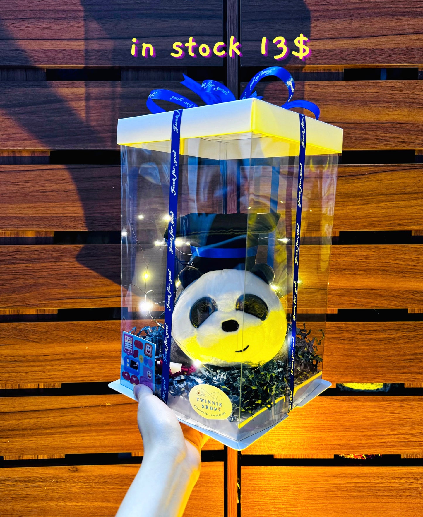 GRA | Panda graduate set