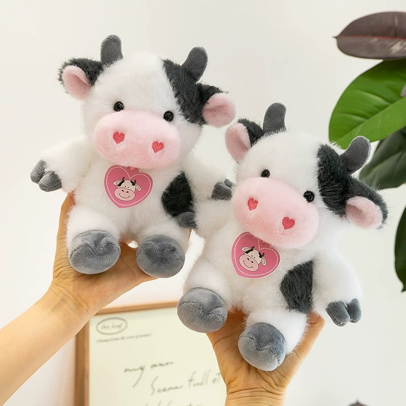 SD | Cow