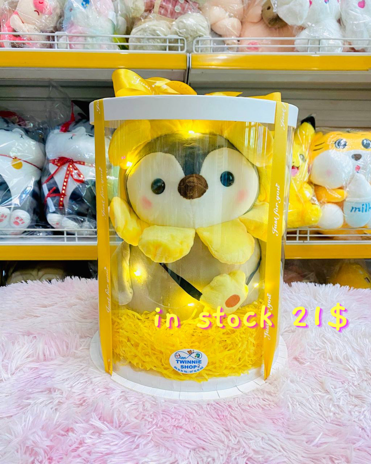 BB | Penguin big set