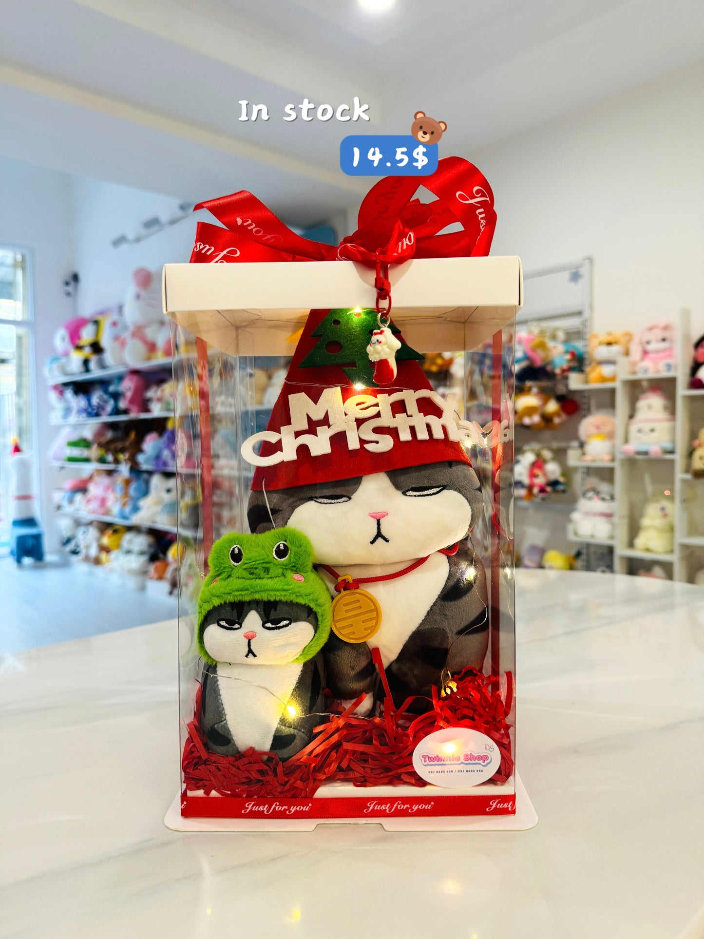Xmas | Moody cat mix keychain set
