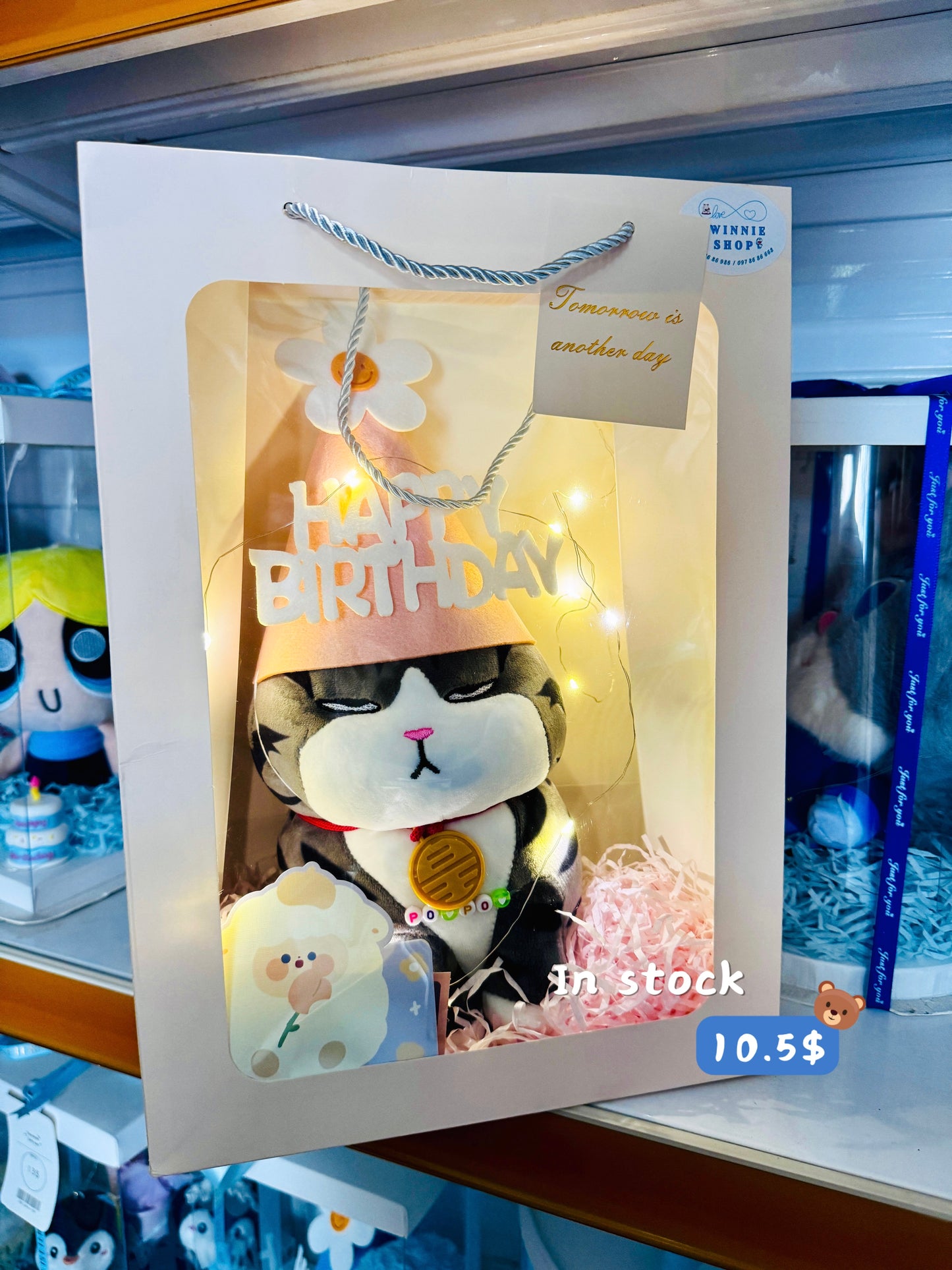 BD | Cat birthday gift bag