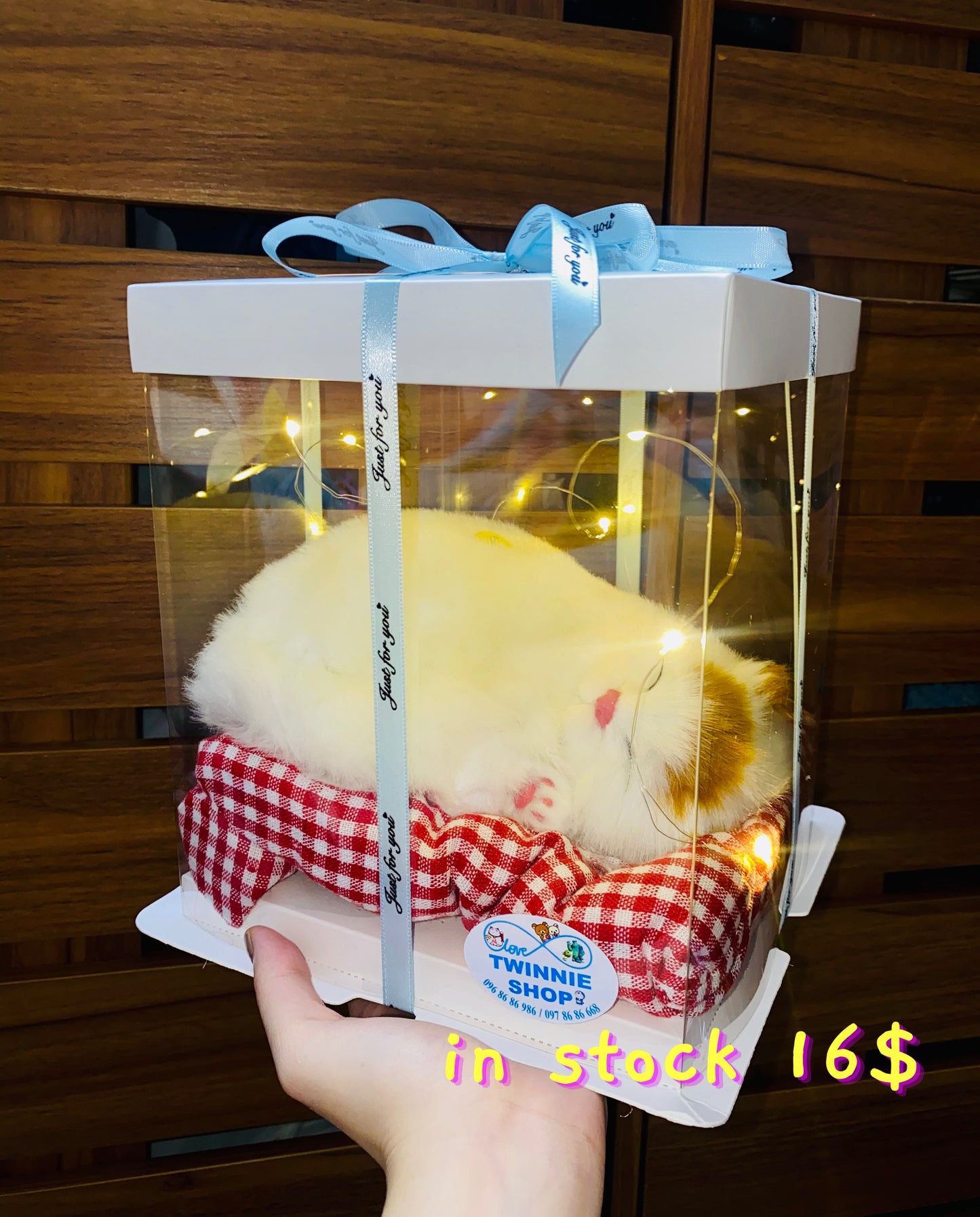 SRB | Sleeping cat gift box