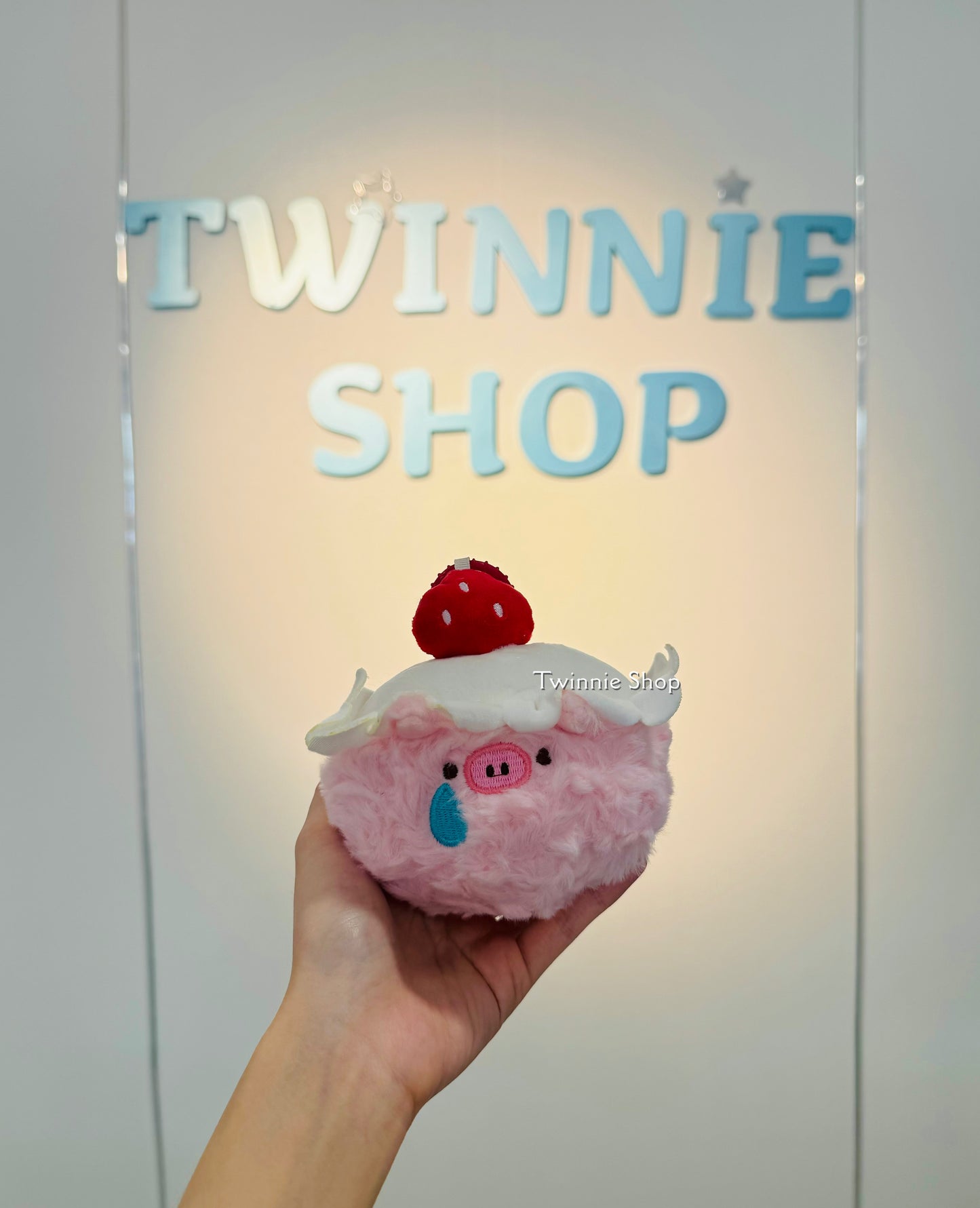 KEY | Pig cake keychain