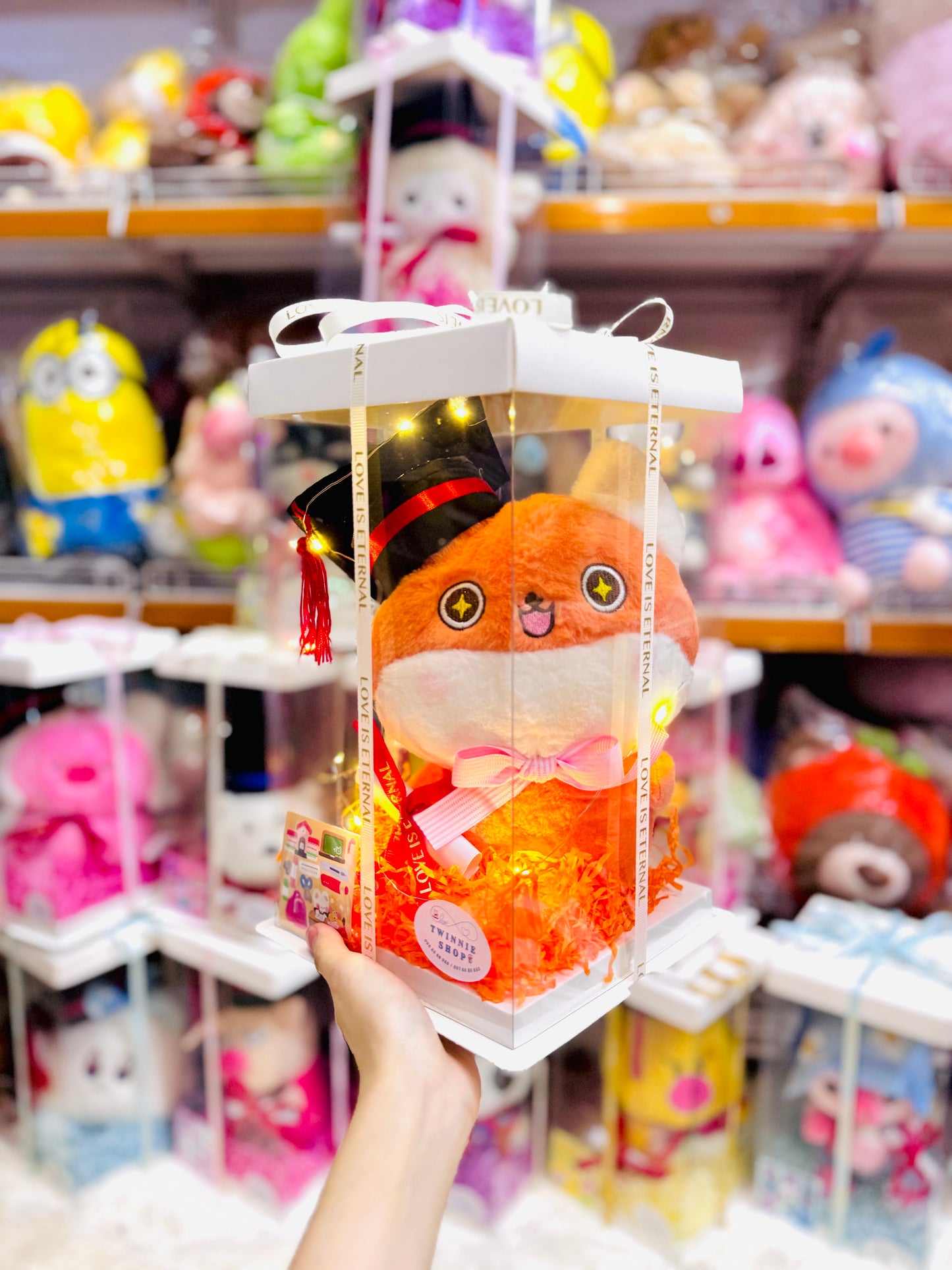 GRA | Fox graduate set