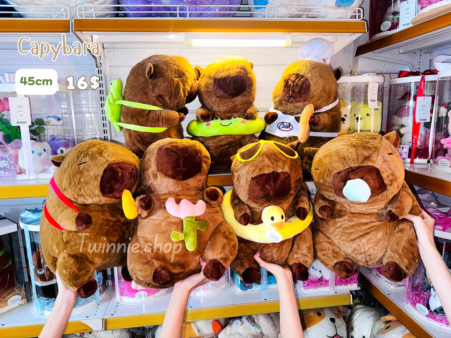 GRA | Capybara graduate set