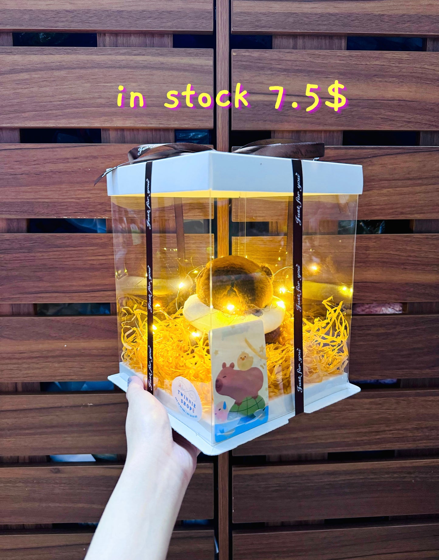 KCB | Capybara keychain mini box