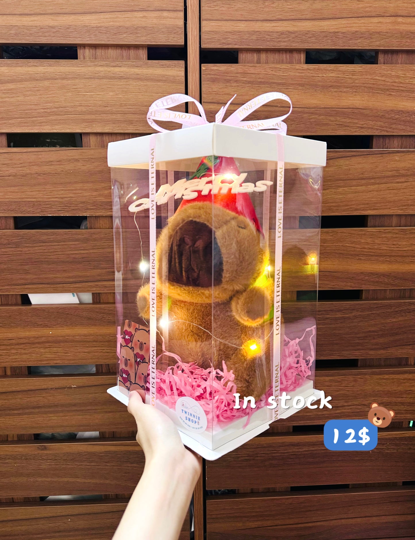 Xmas | Capybara small set