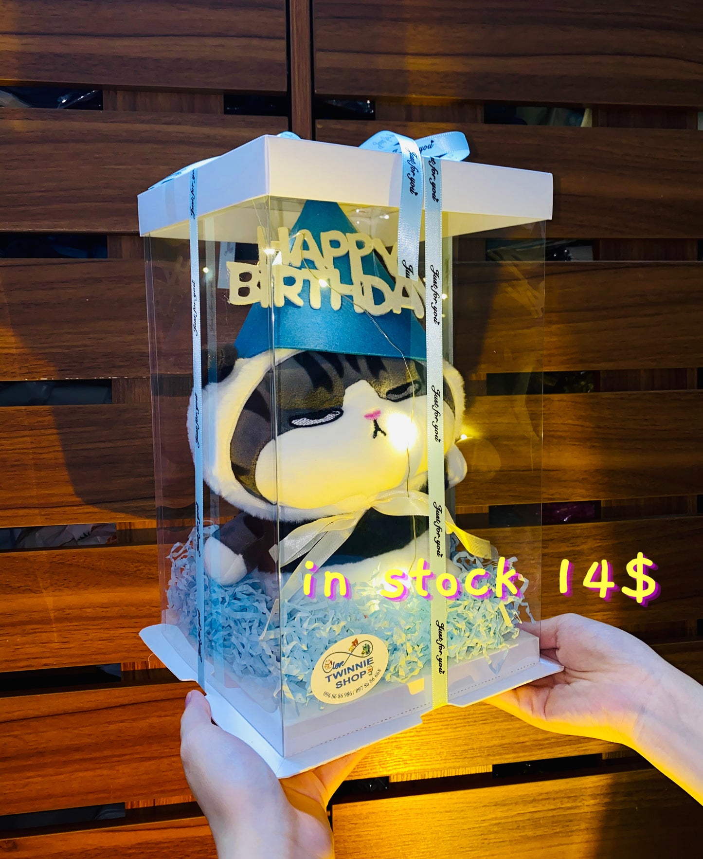 SRBBD | cat birthday box skin cat