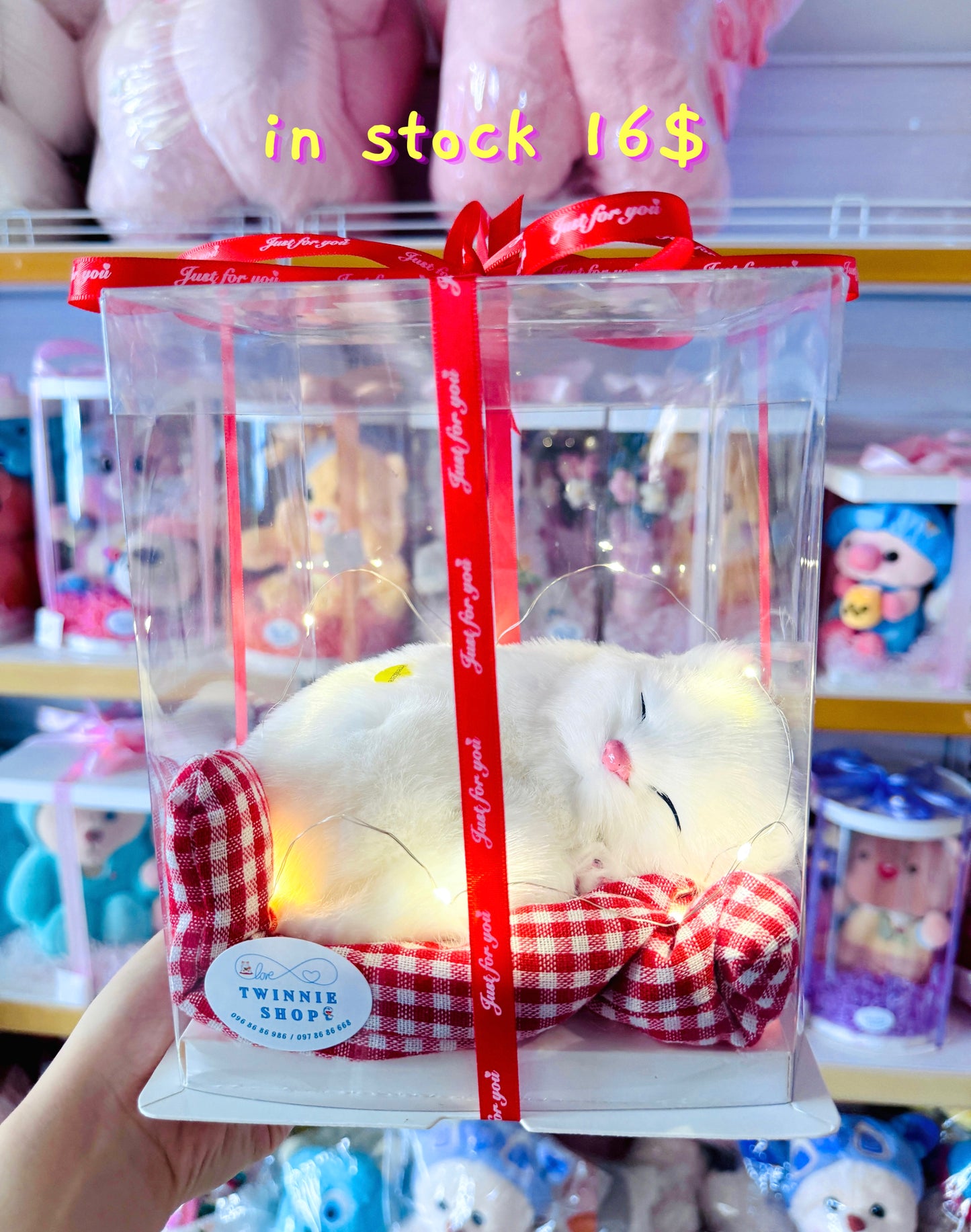 SRB | Sleeping cat gift box