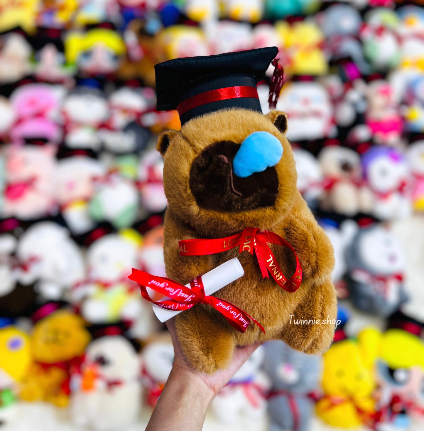 GRASD | Graduate Teddy