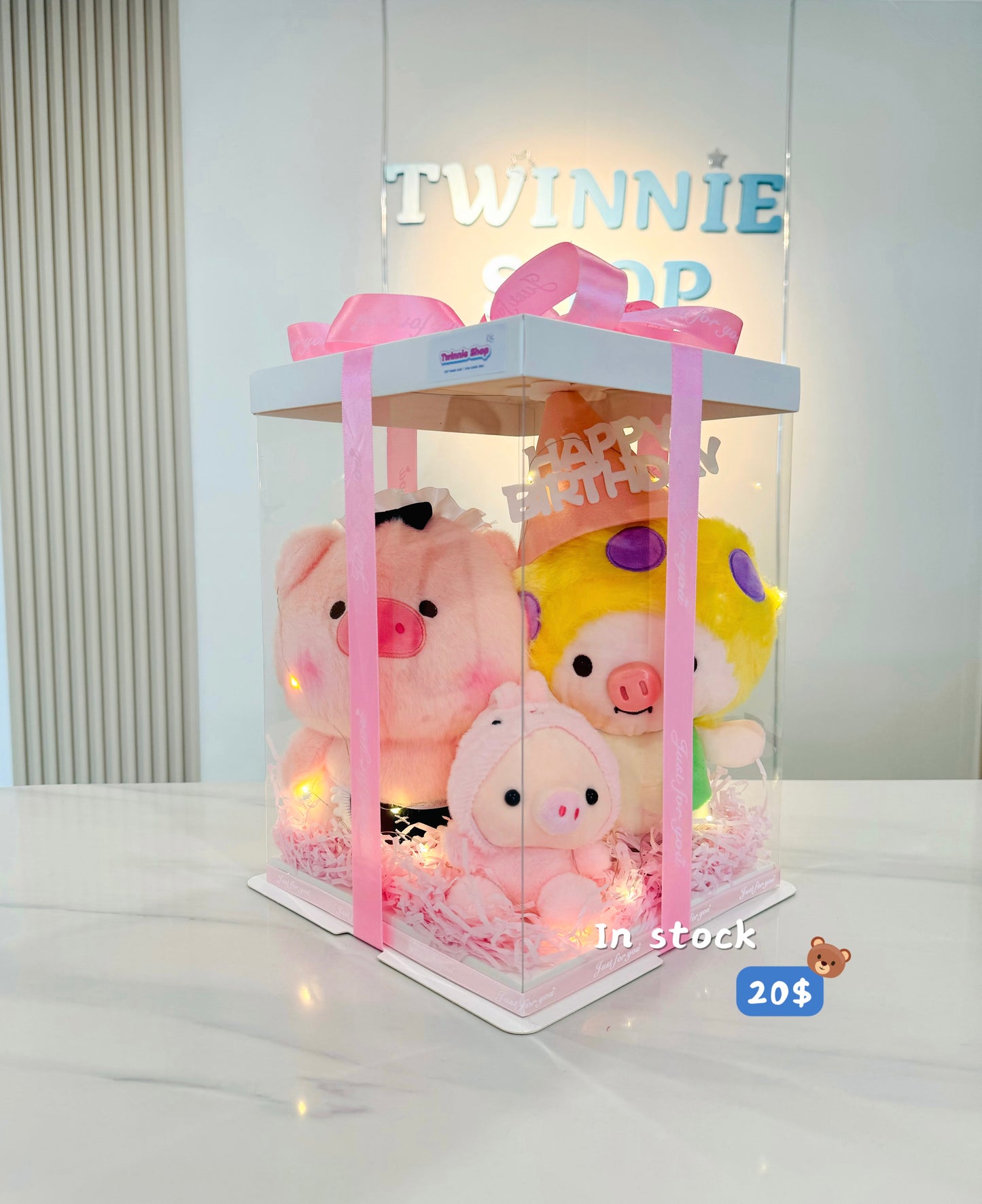CPBBD | Piggy birthday family set