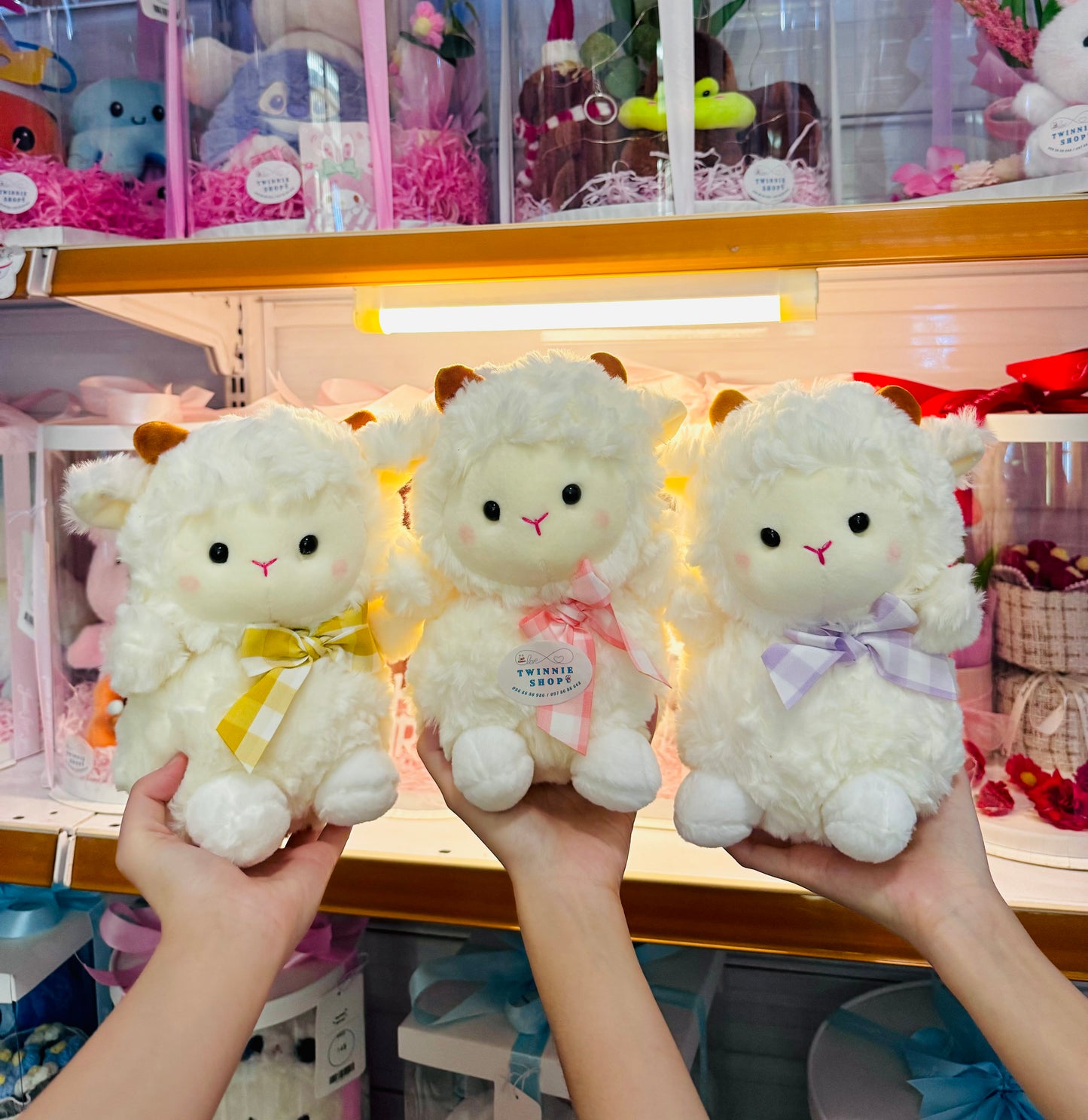 SD | Ribbon sheep