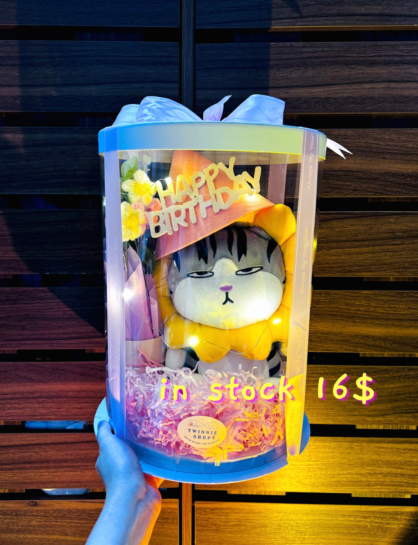 BD16 | Cat birthday box
