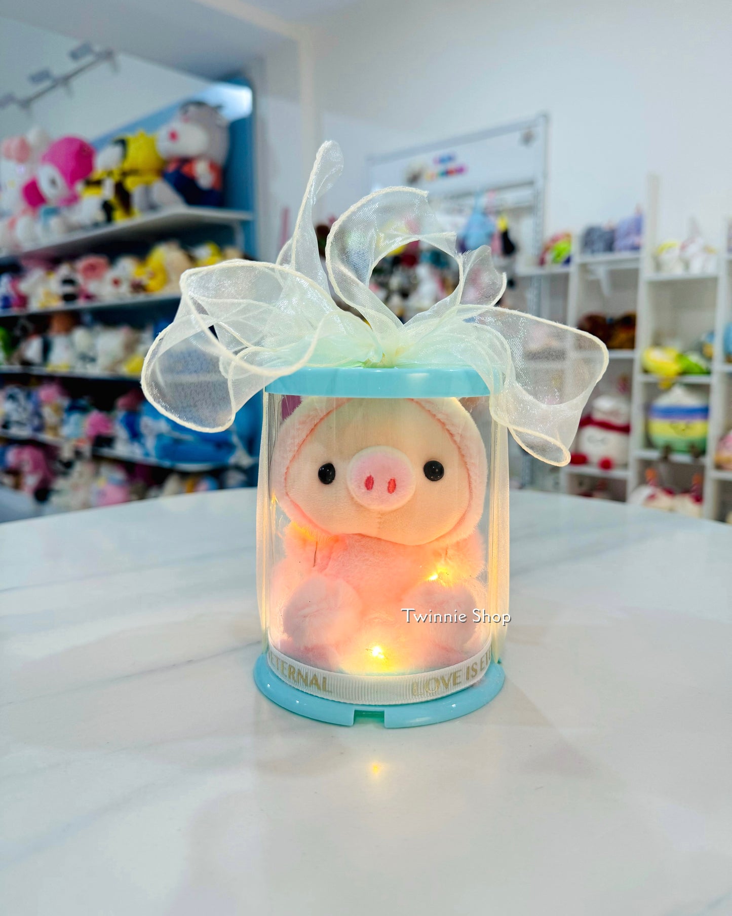 KCB | Piggy keychain gift set