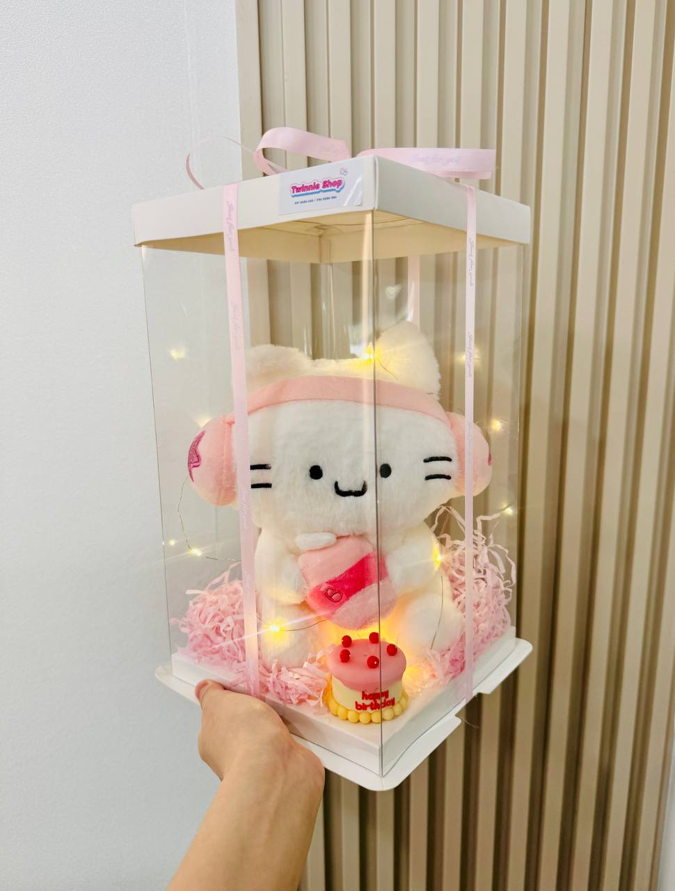 SRBC | Music cat mix cake box