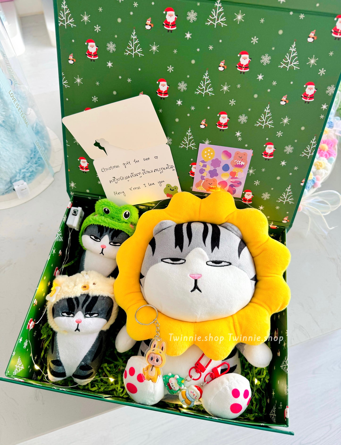 Xmas | Cat family Christmas box