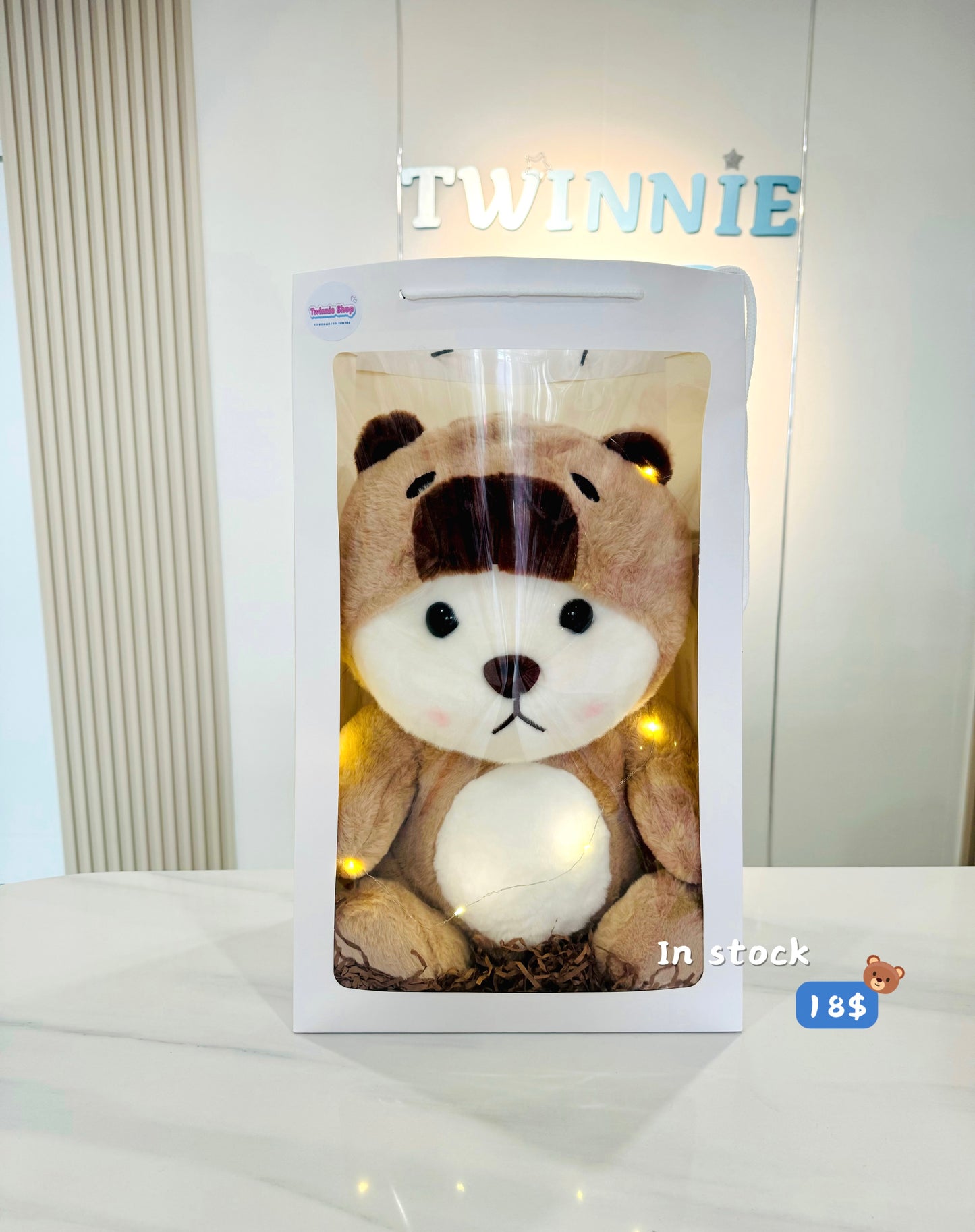 BB | Capybara bear gift bag