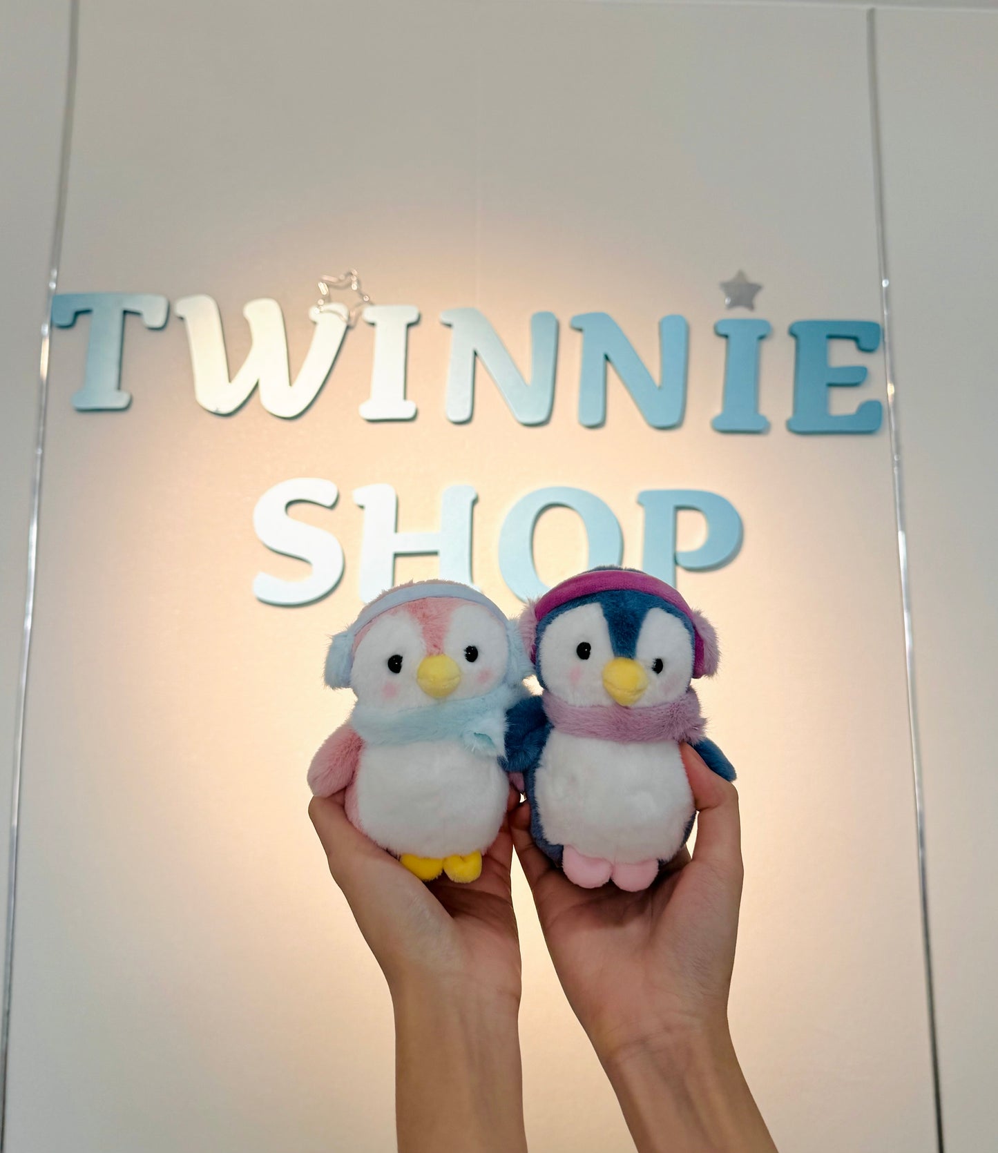 KEY | Penguin keychain