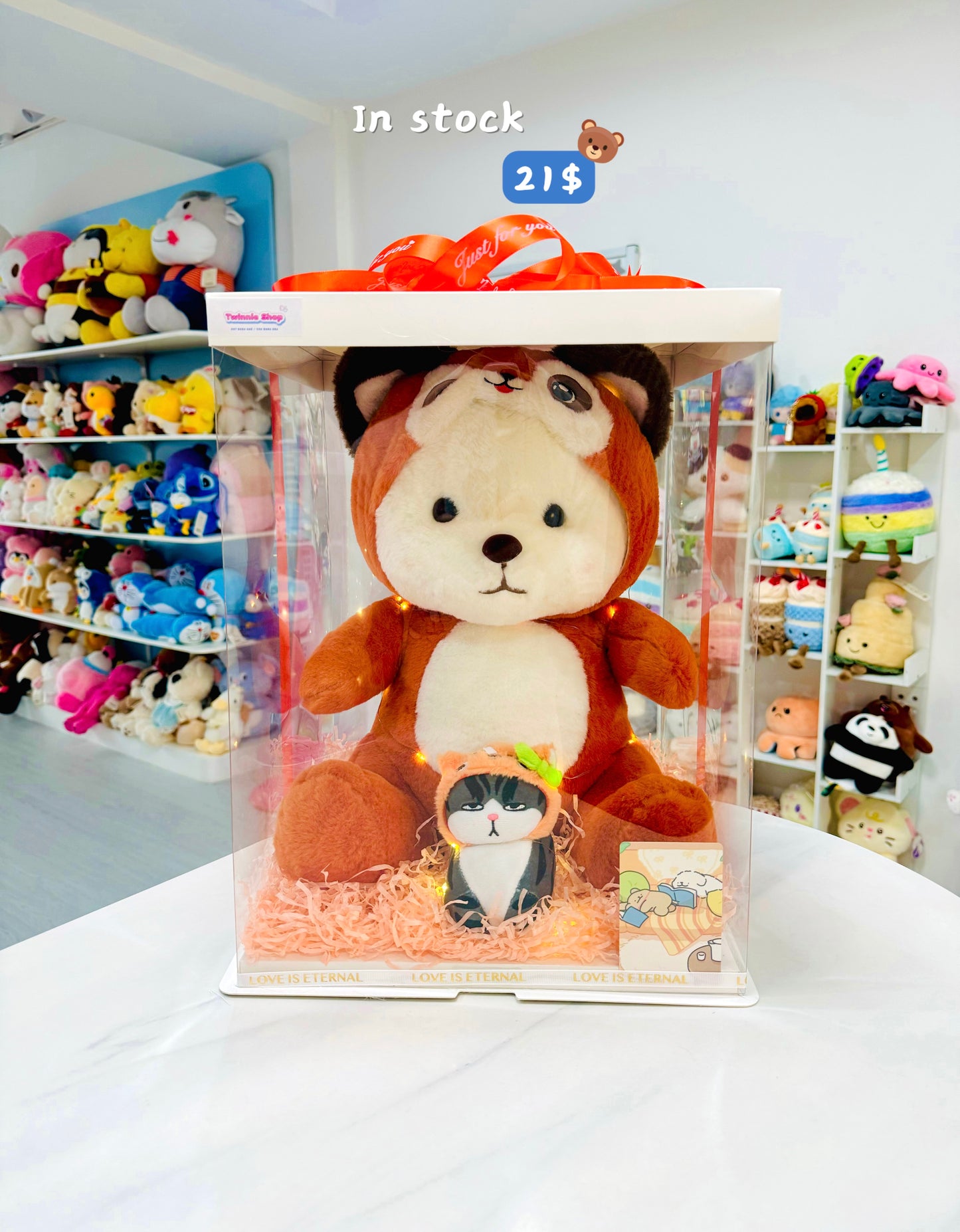 BB | Orange fox bear mix cat set