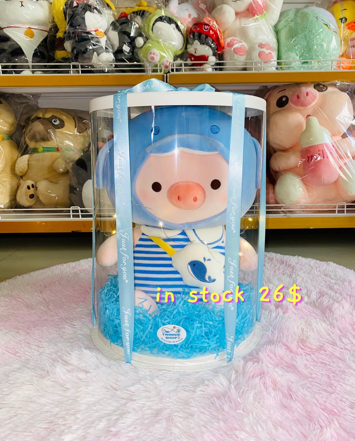 BB | Shark pig gift set