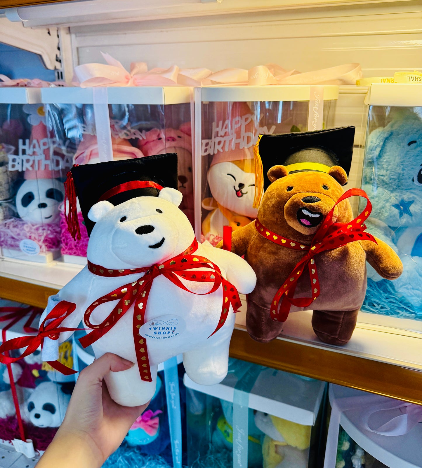 GRASD | Graduate Teddy