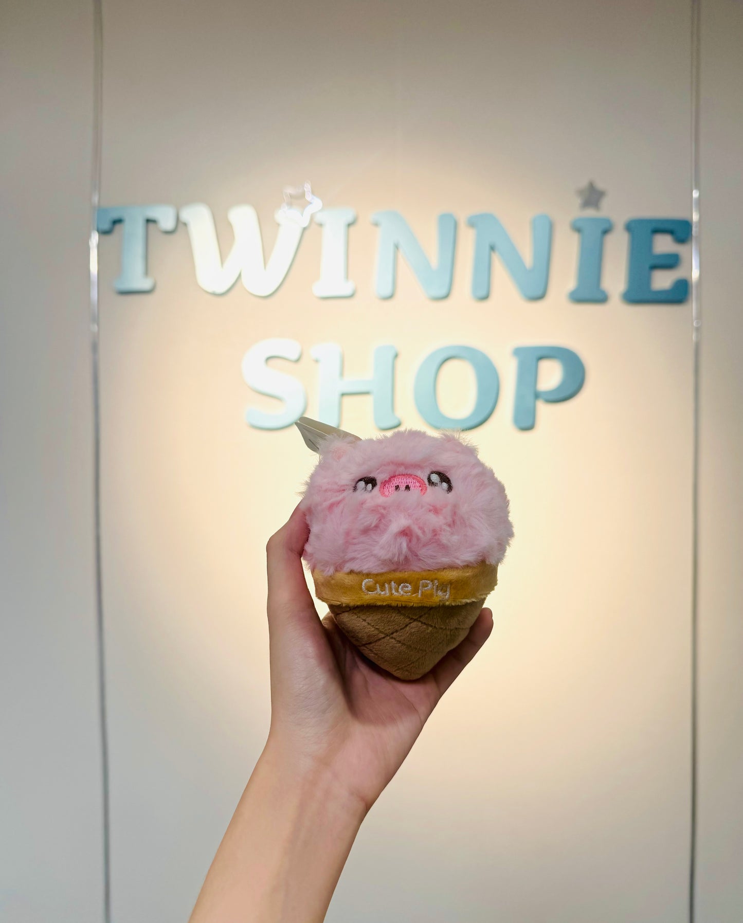 KEY | Pig ice cream keychain