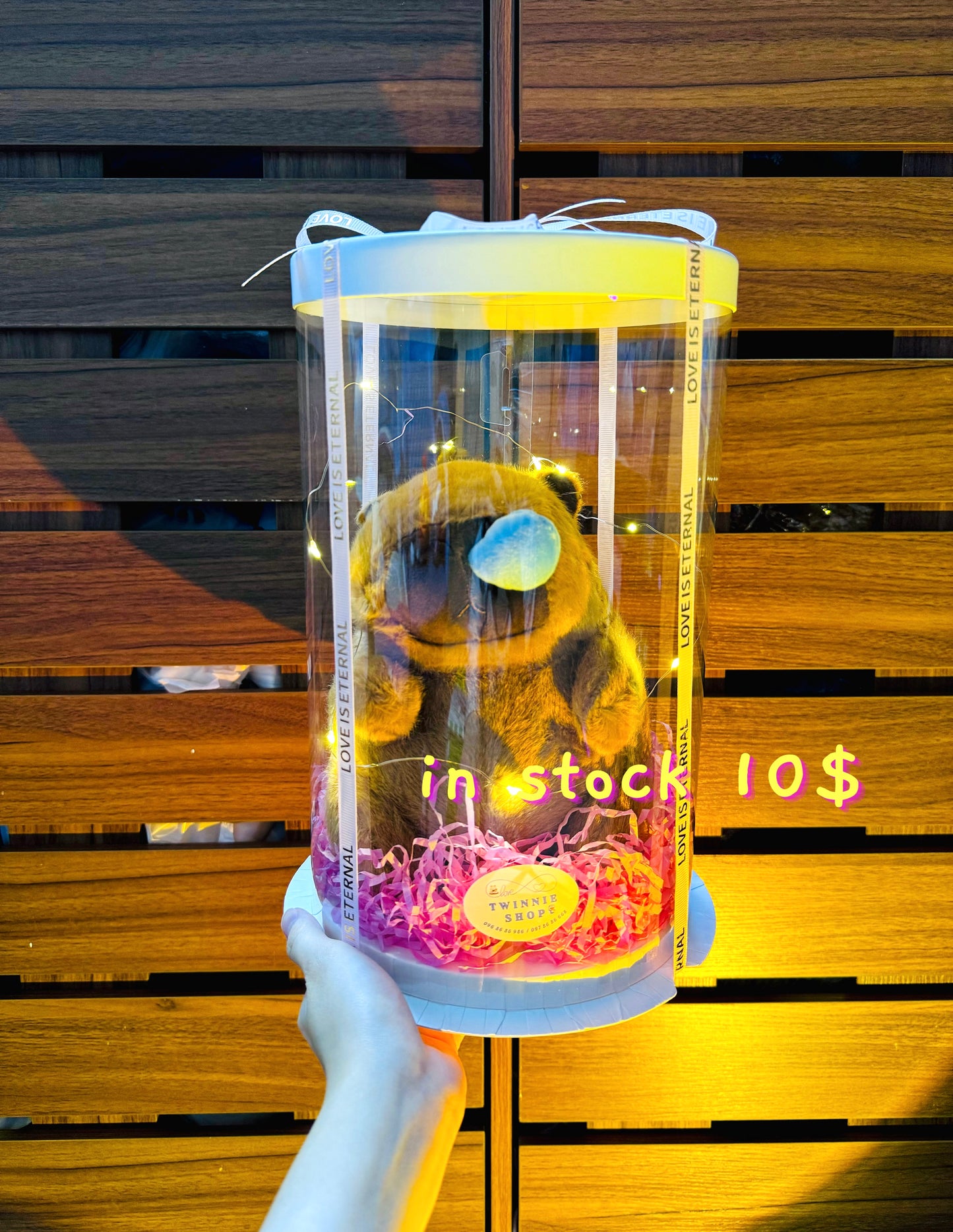 SRB10 | Capybara mini box