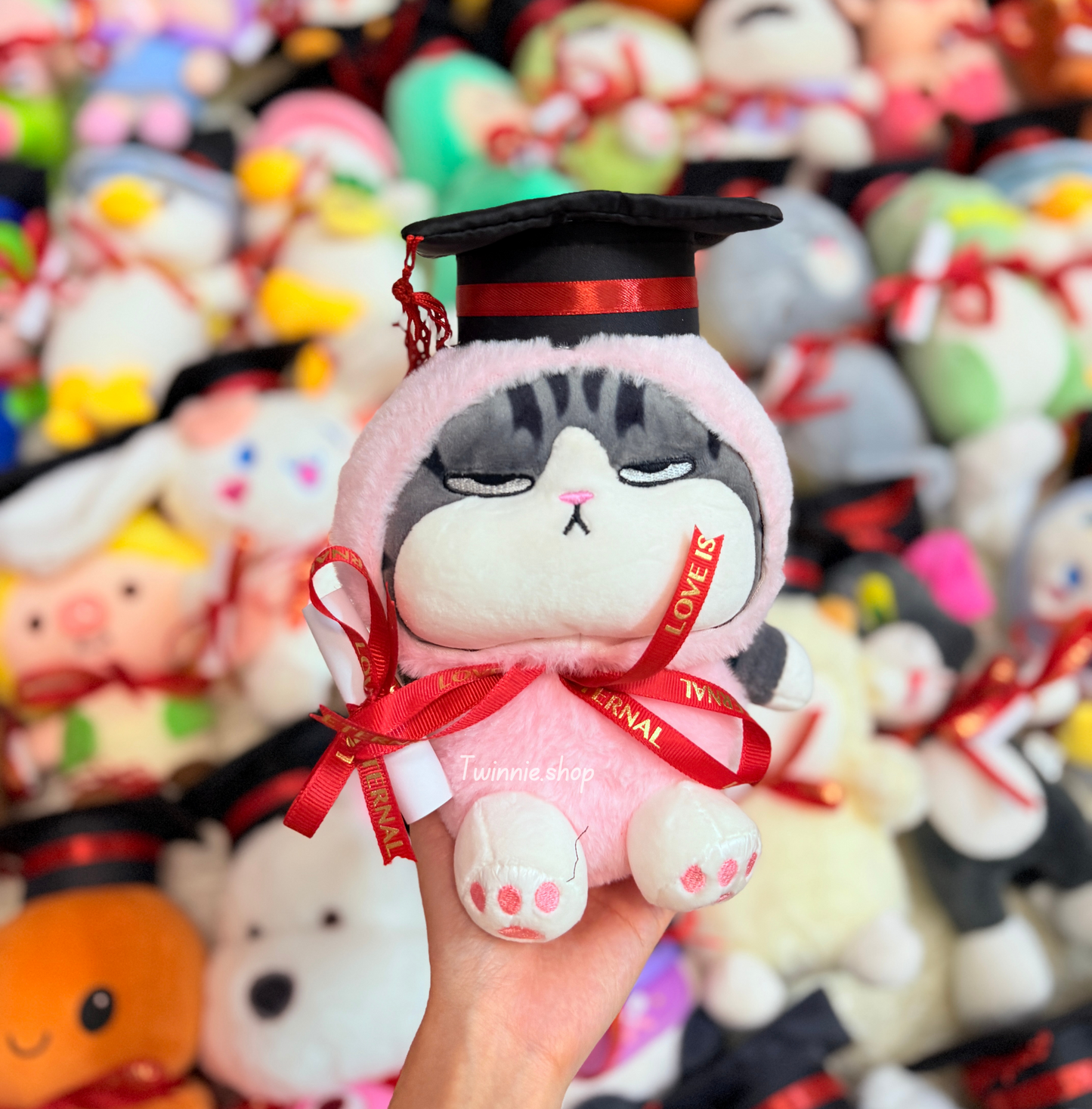 GRASD | Graduate Teddy