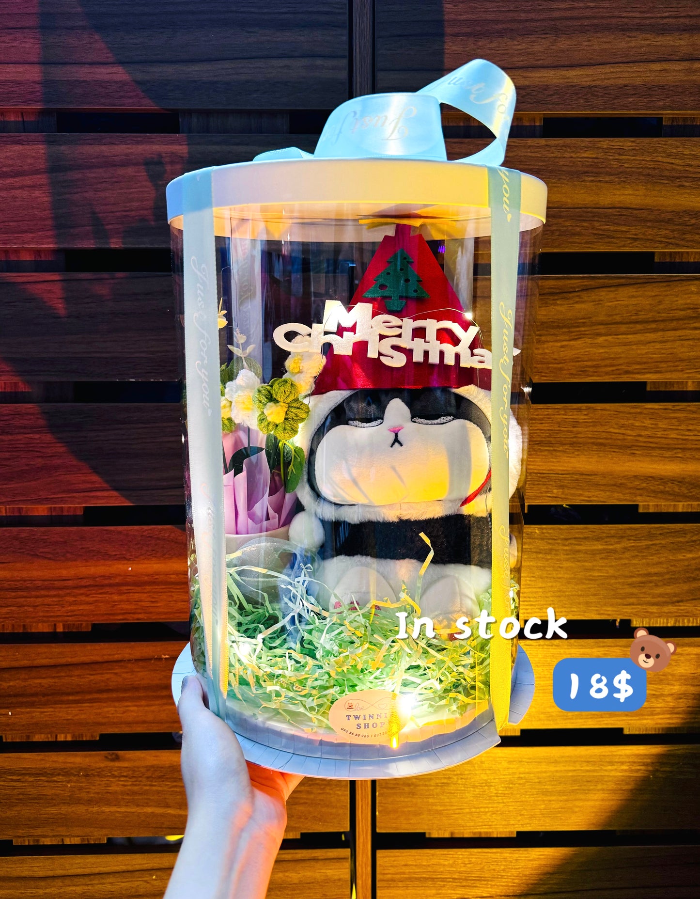 Xmas | Colorful cat gift box