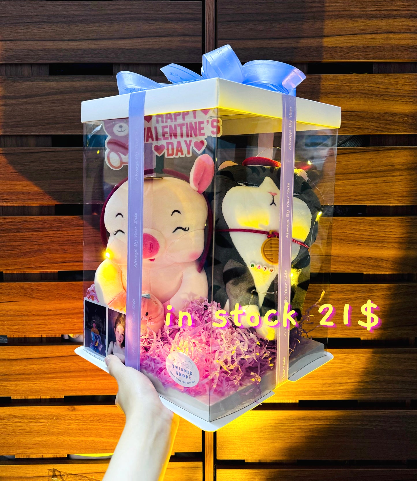 VLT | Pig Cat valentine set