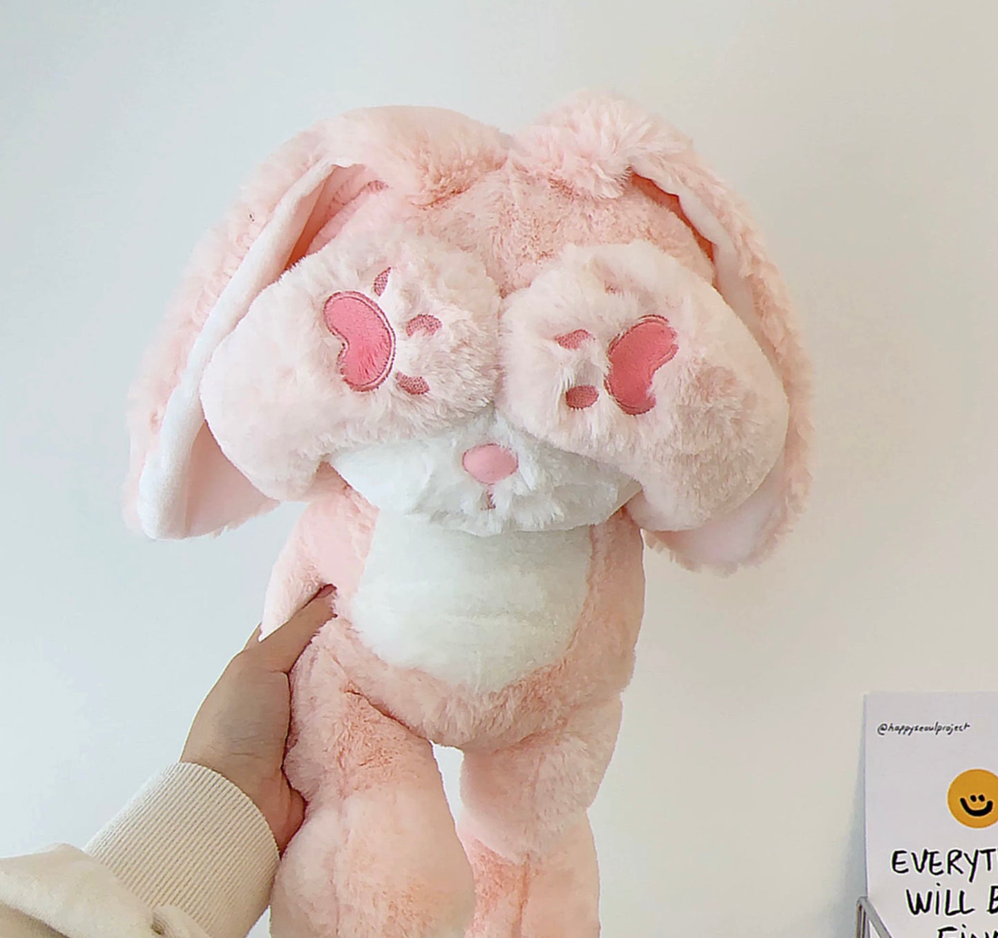 BT | Cute teddy