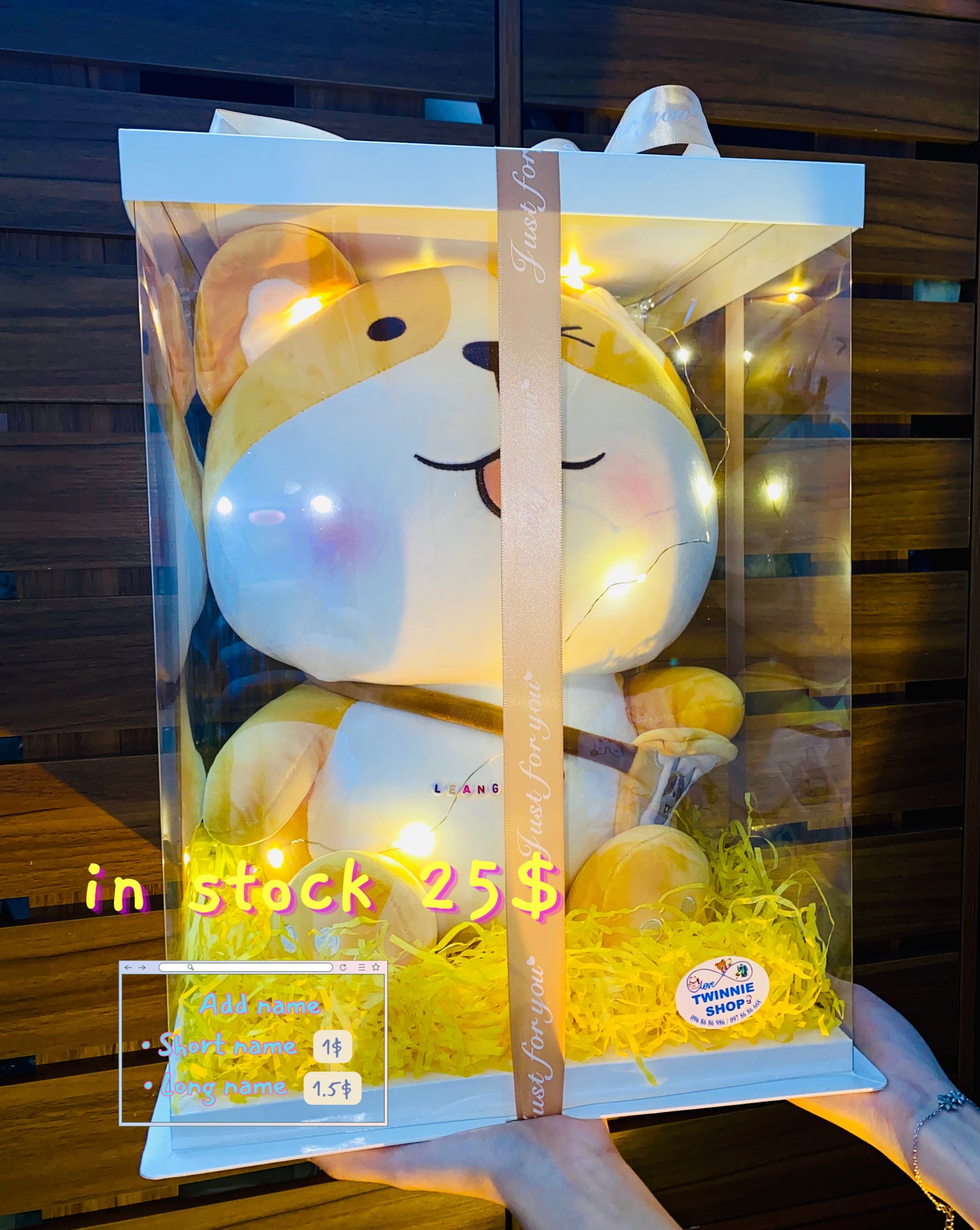 BB | Cute puppy big set
