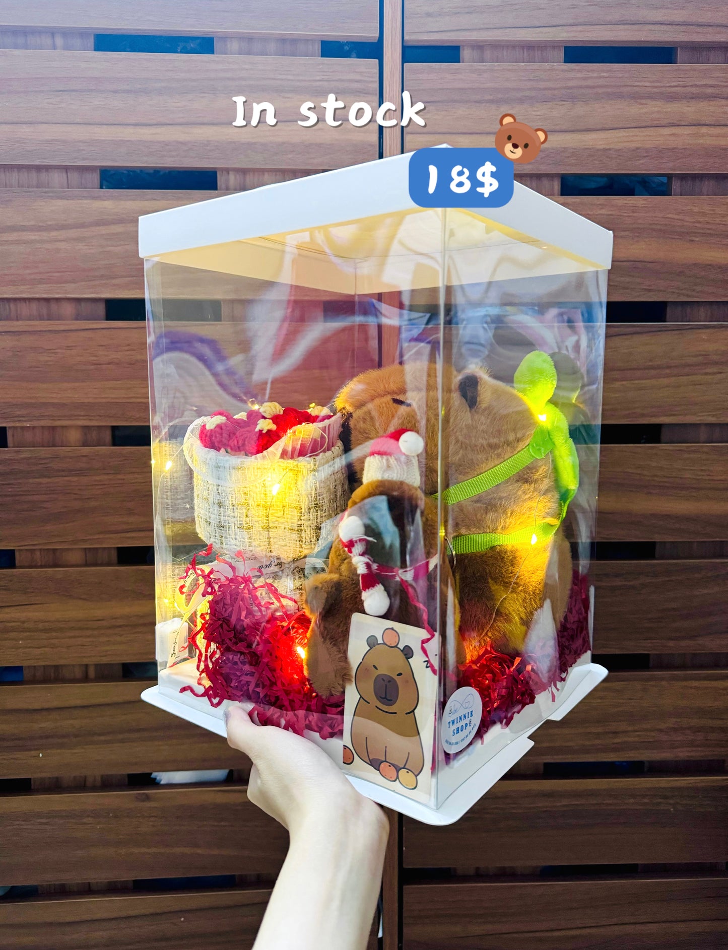 BD16 | Capybara birthday set