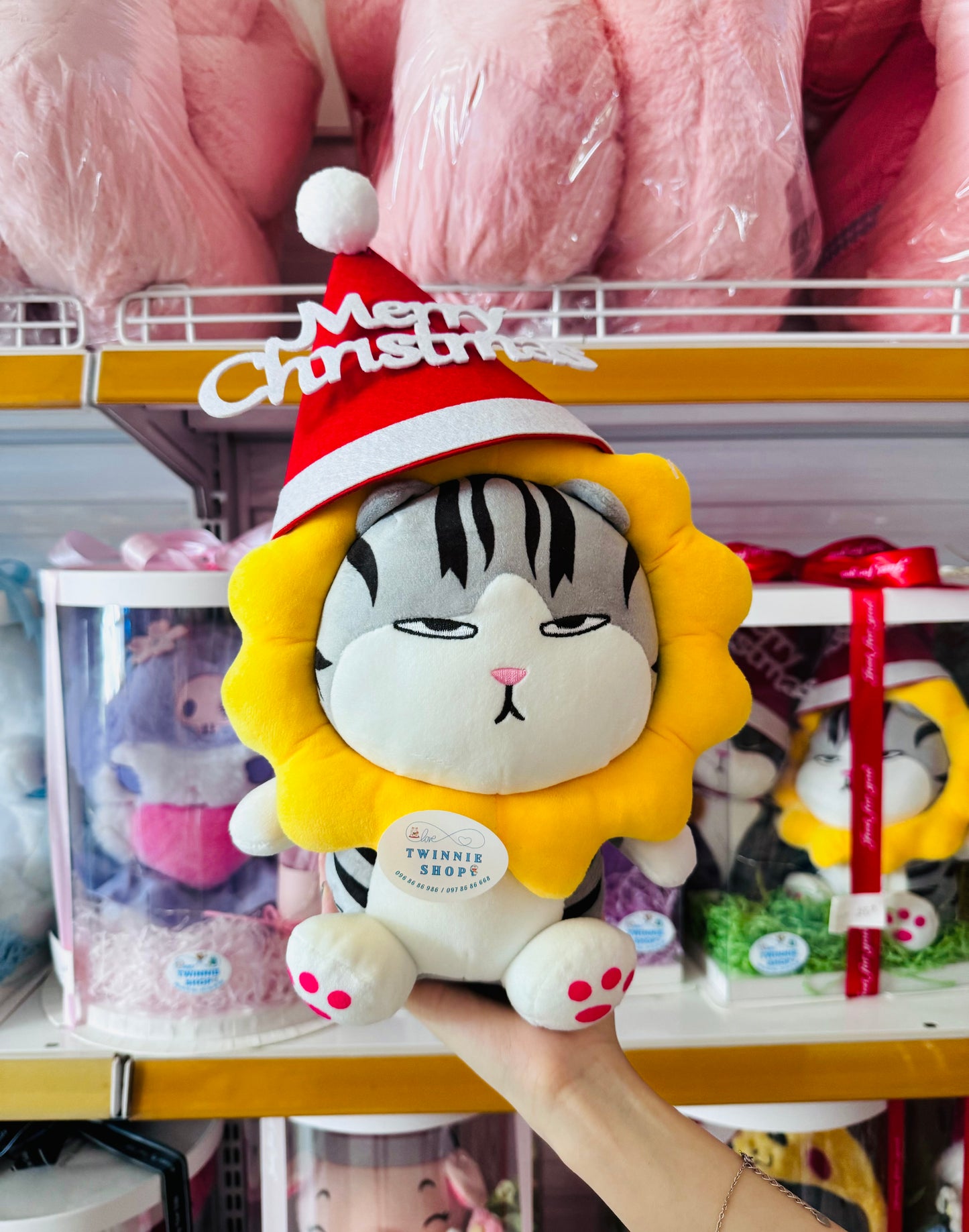 Xmas| cat