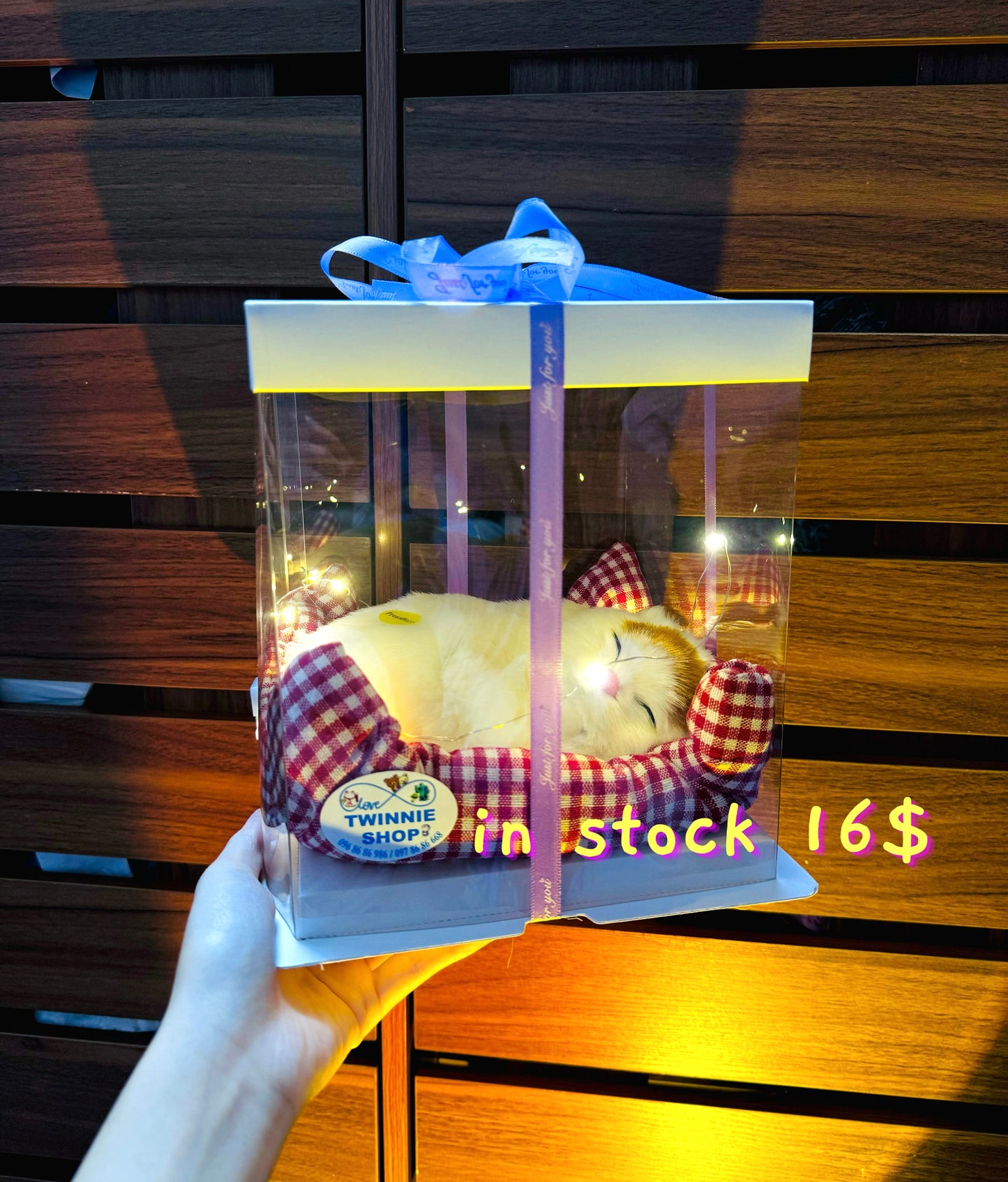 SRB16 | Sleep cat mini box