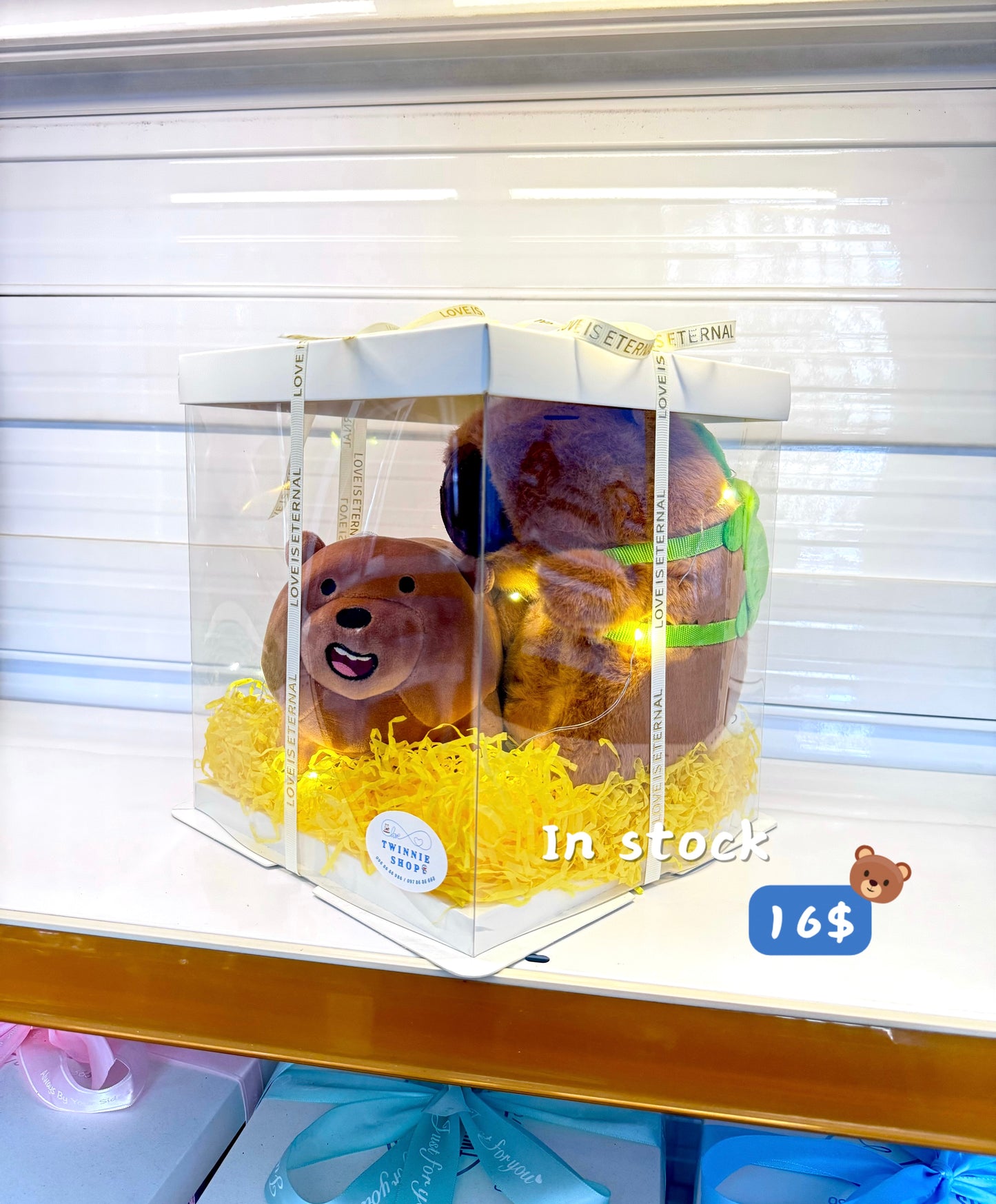 CPB | Capybara couple set
