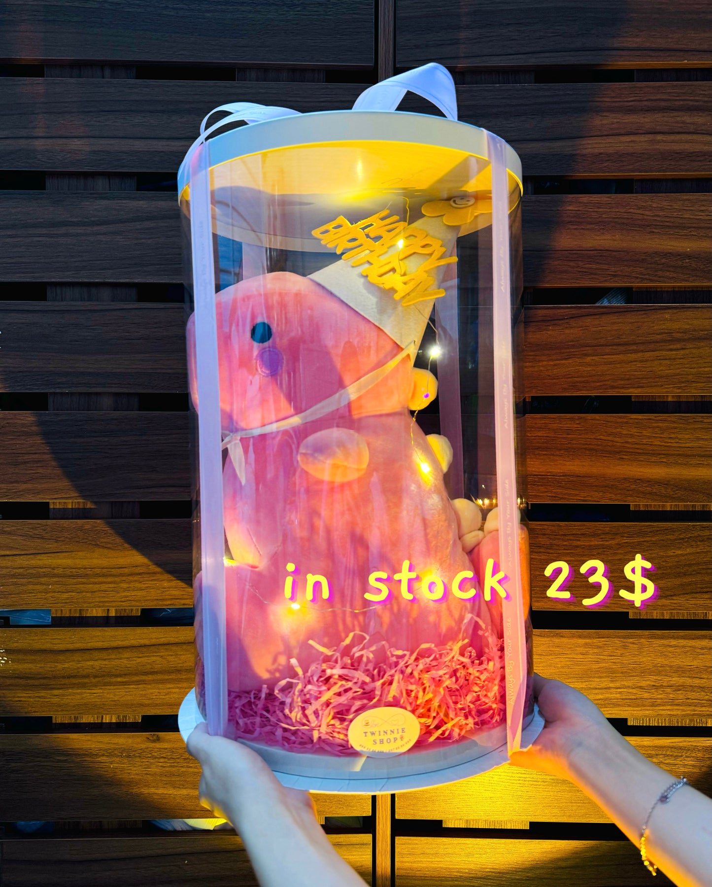 BB | Dinosaur big gift set