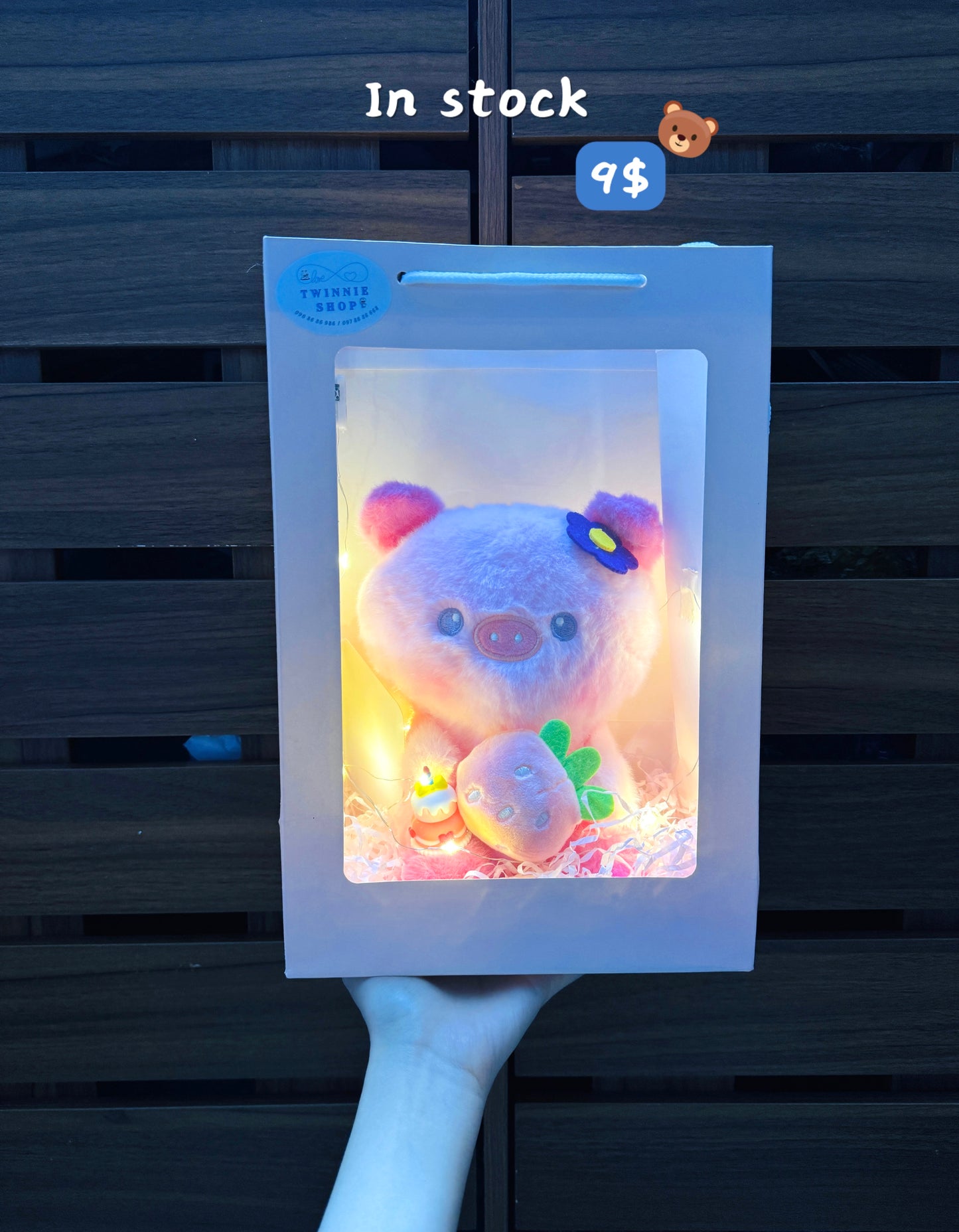 SRBC | Strawberry pig gift bag